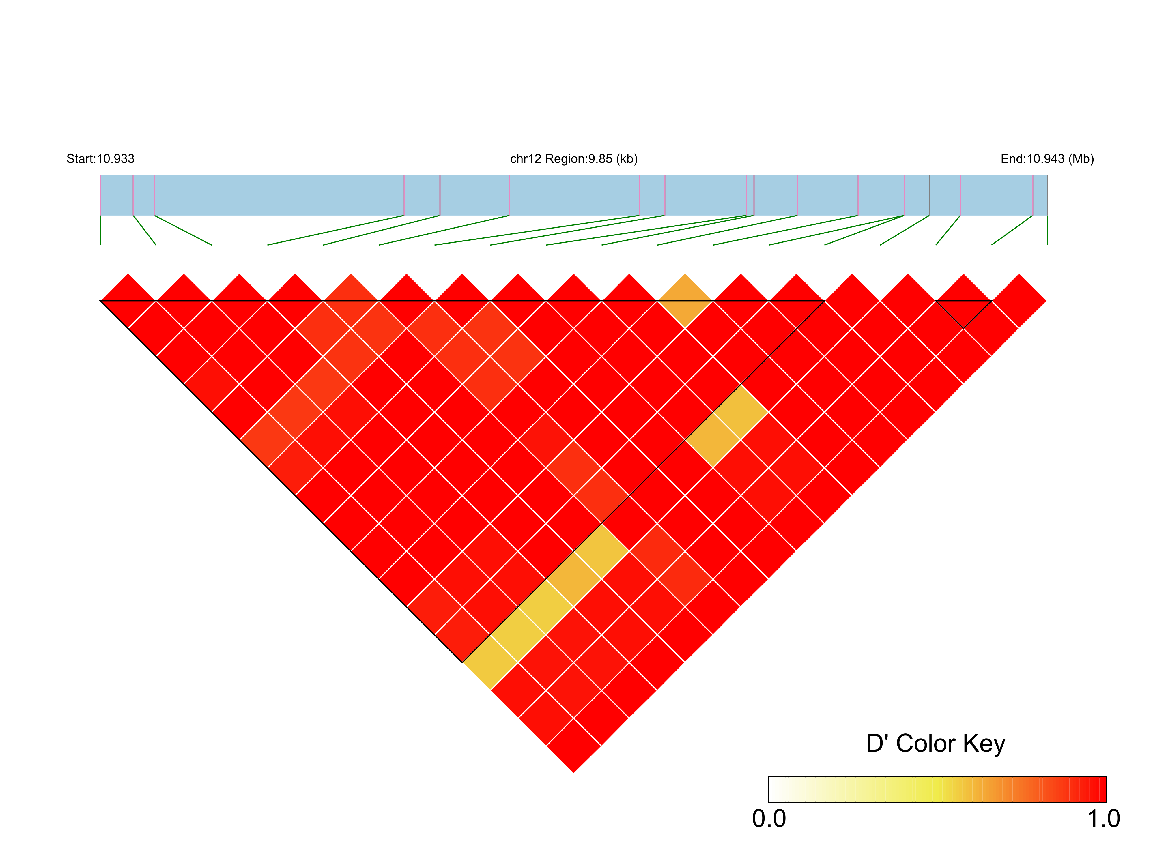 LD