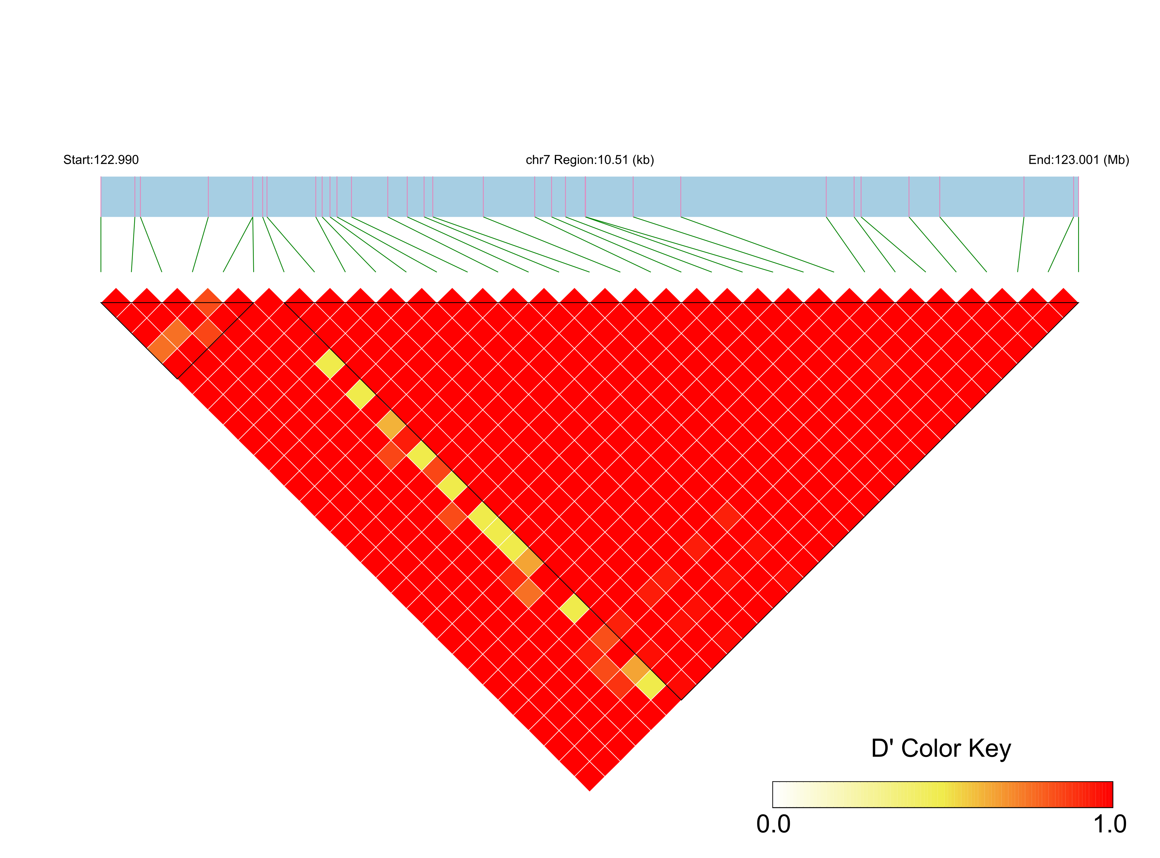 LD