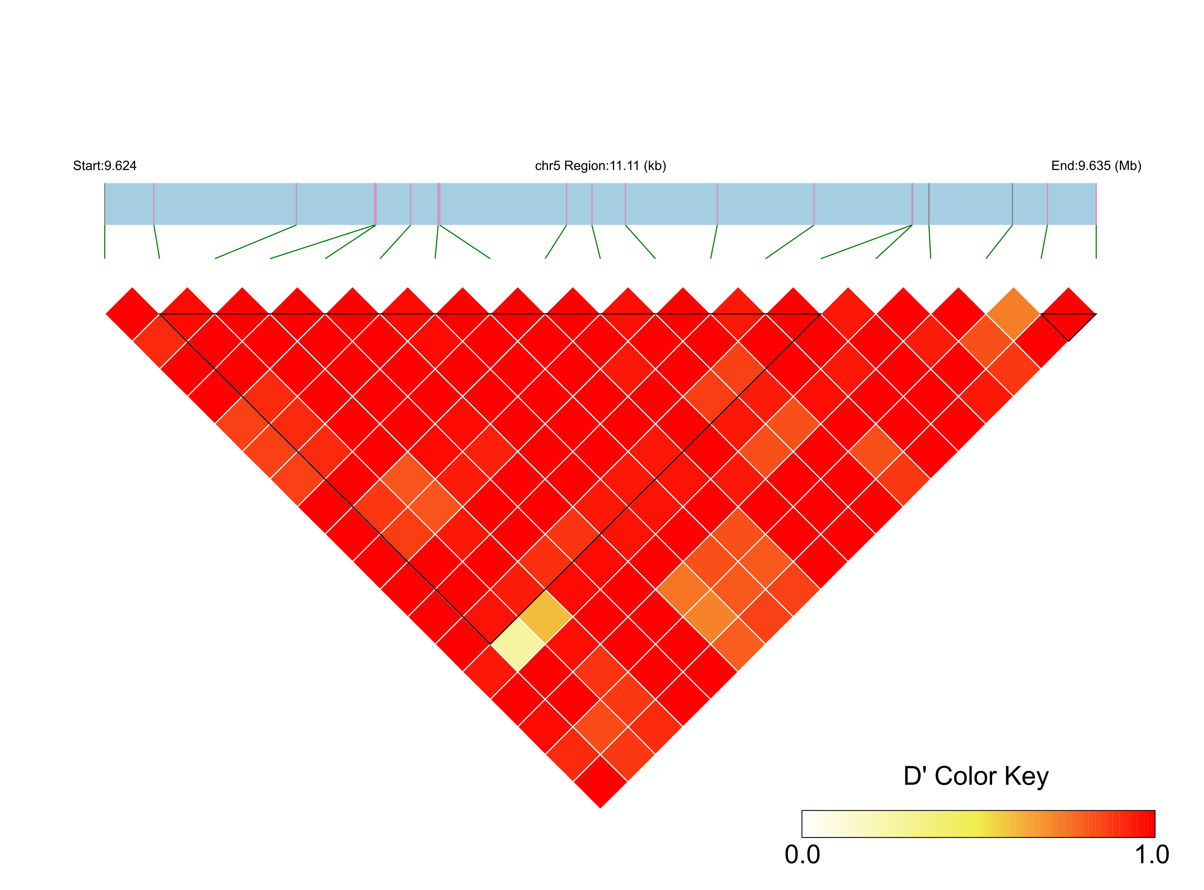 LD