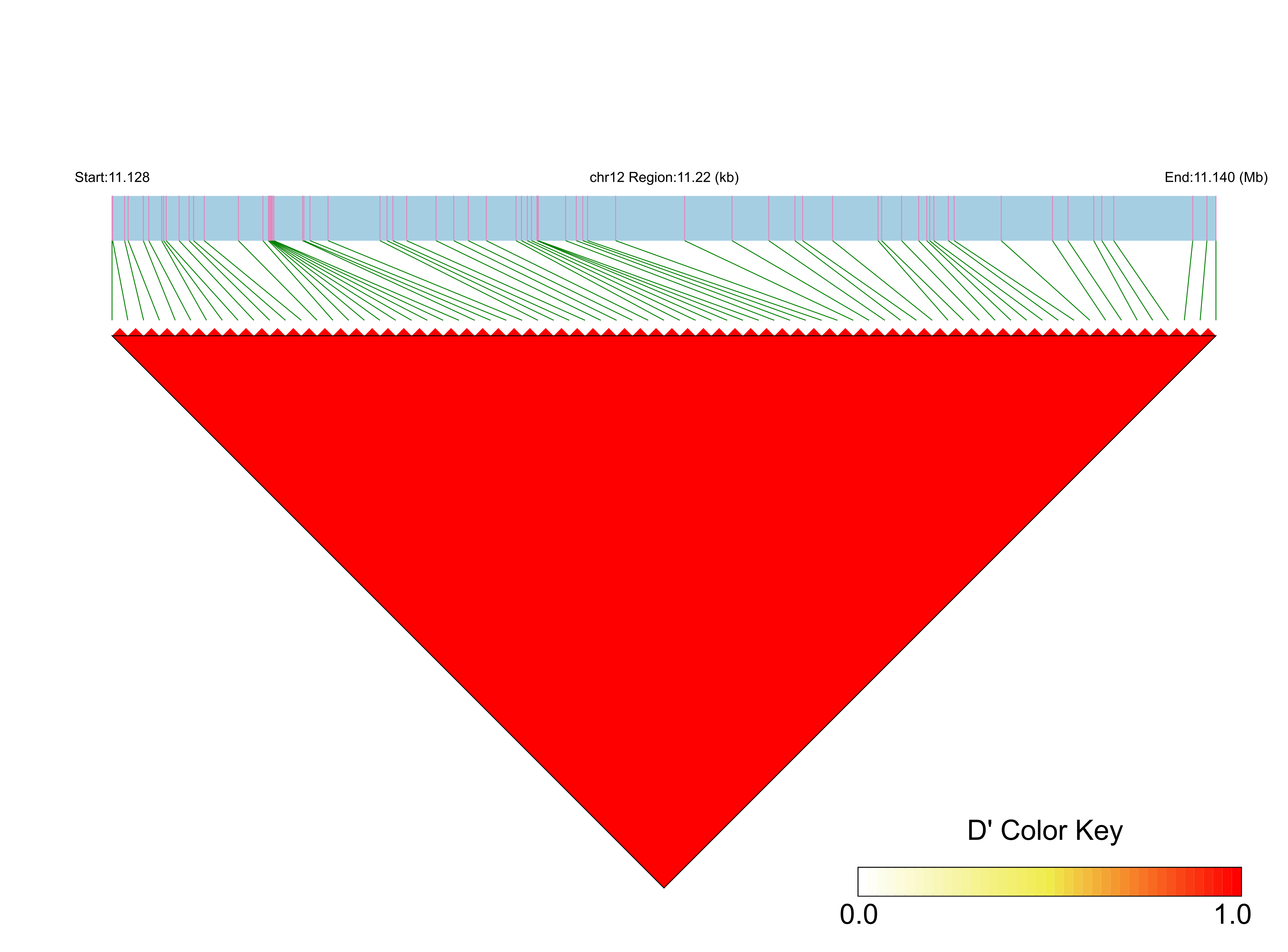 LD
