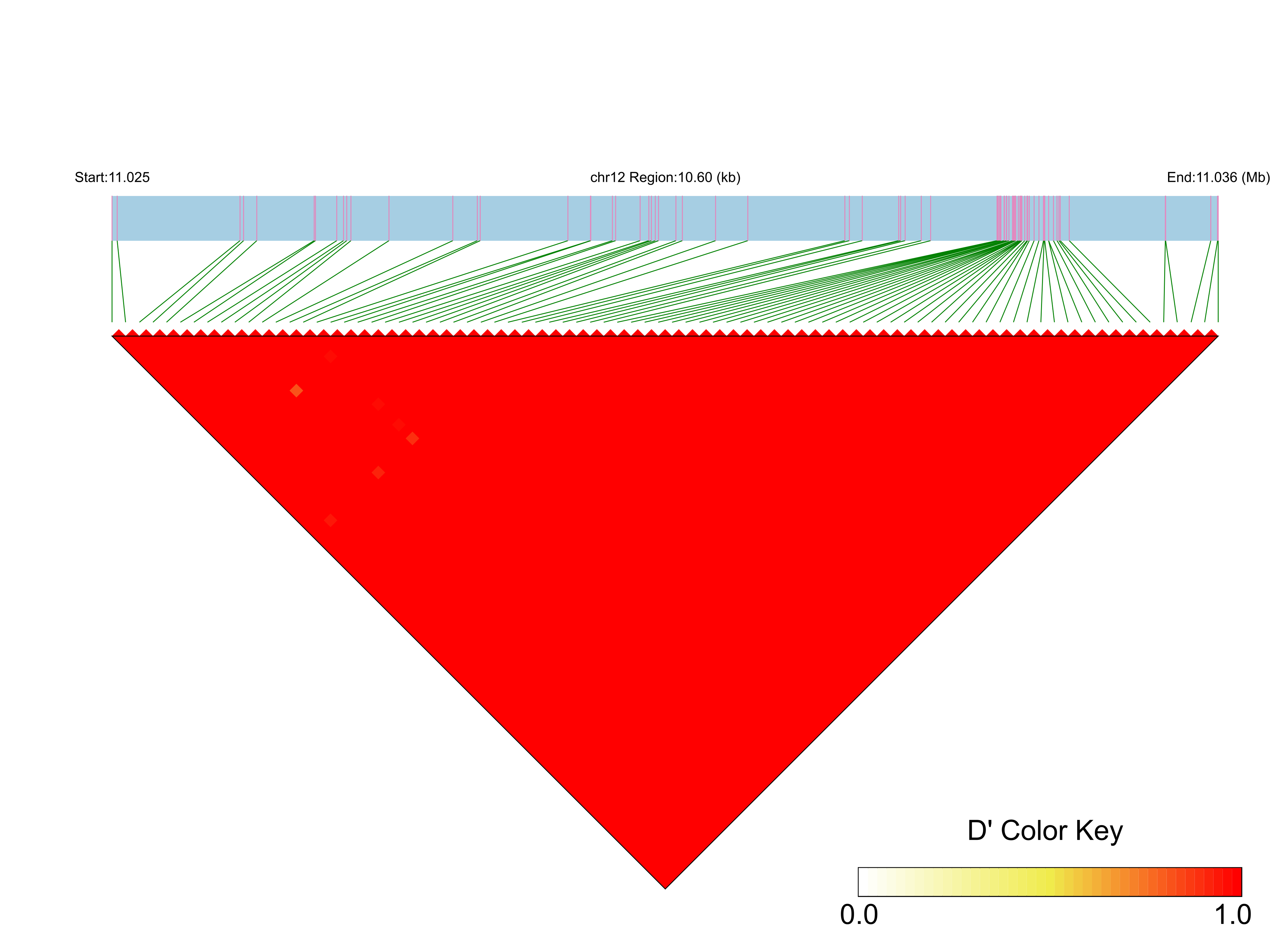 LD