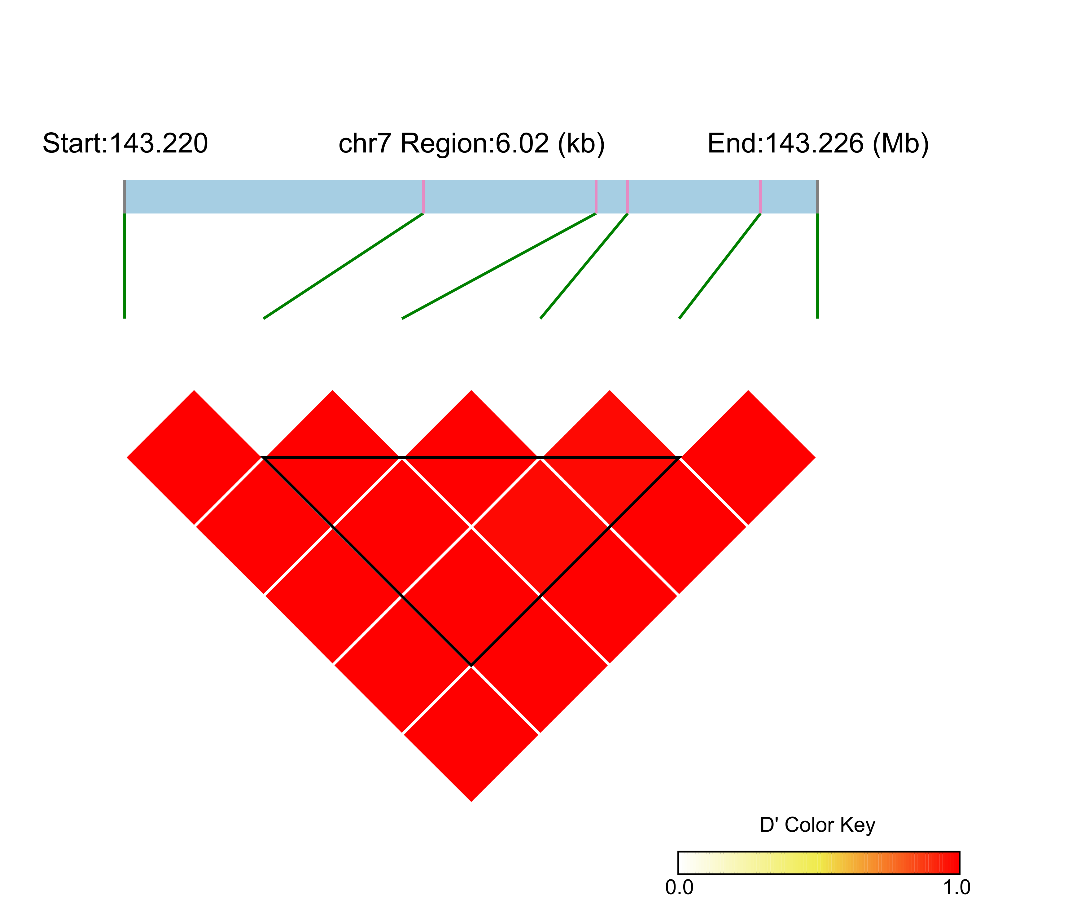 LD