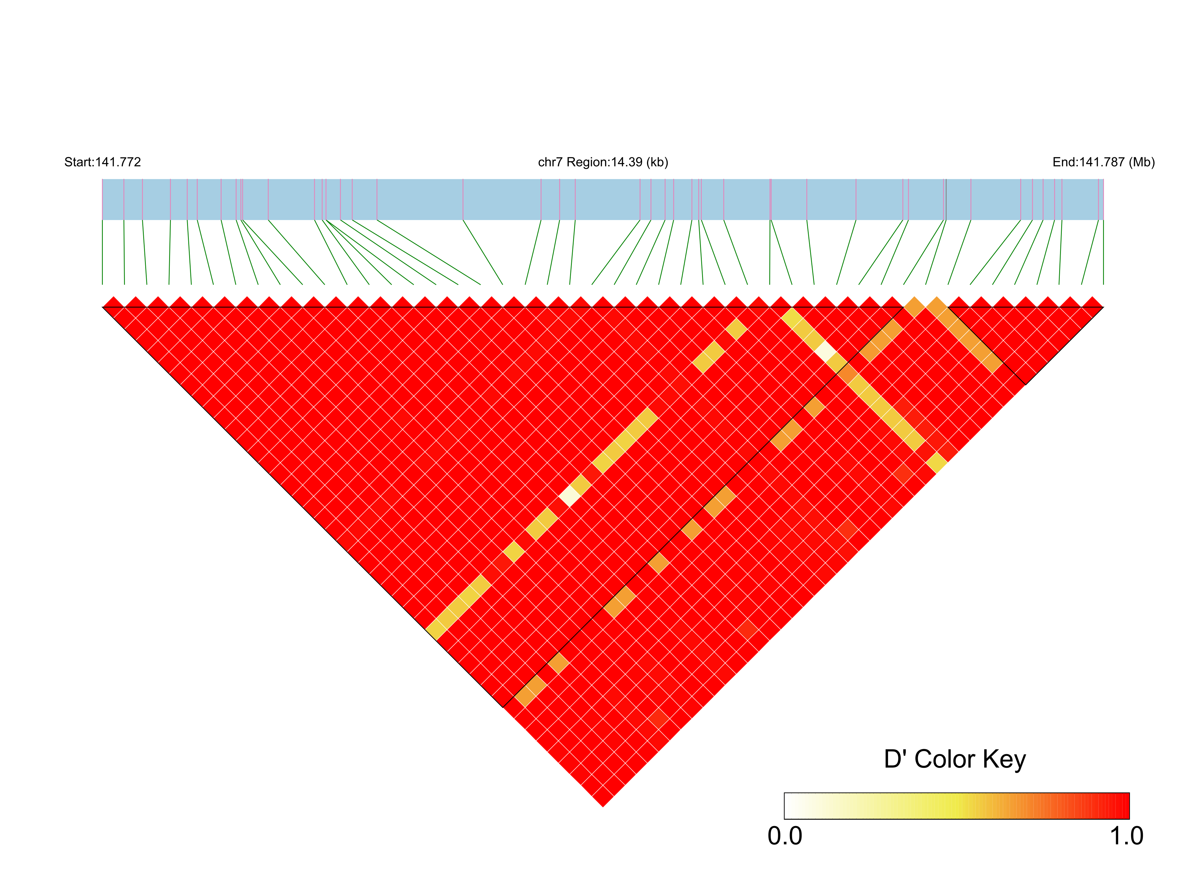LD