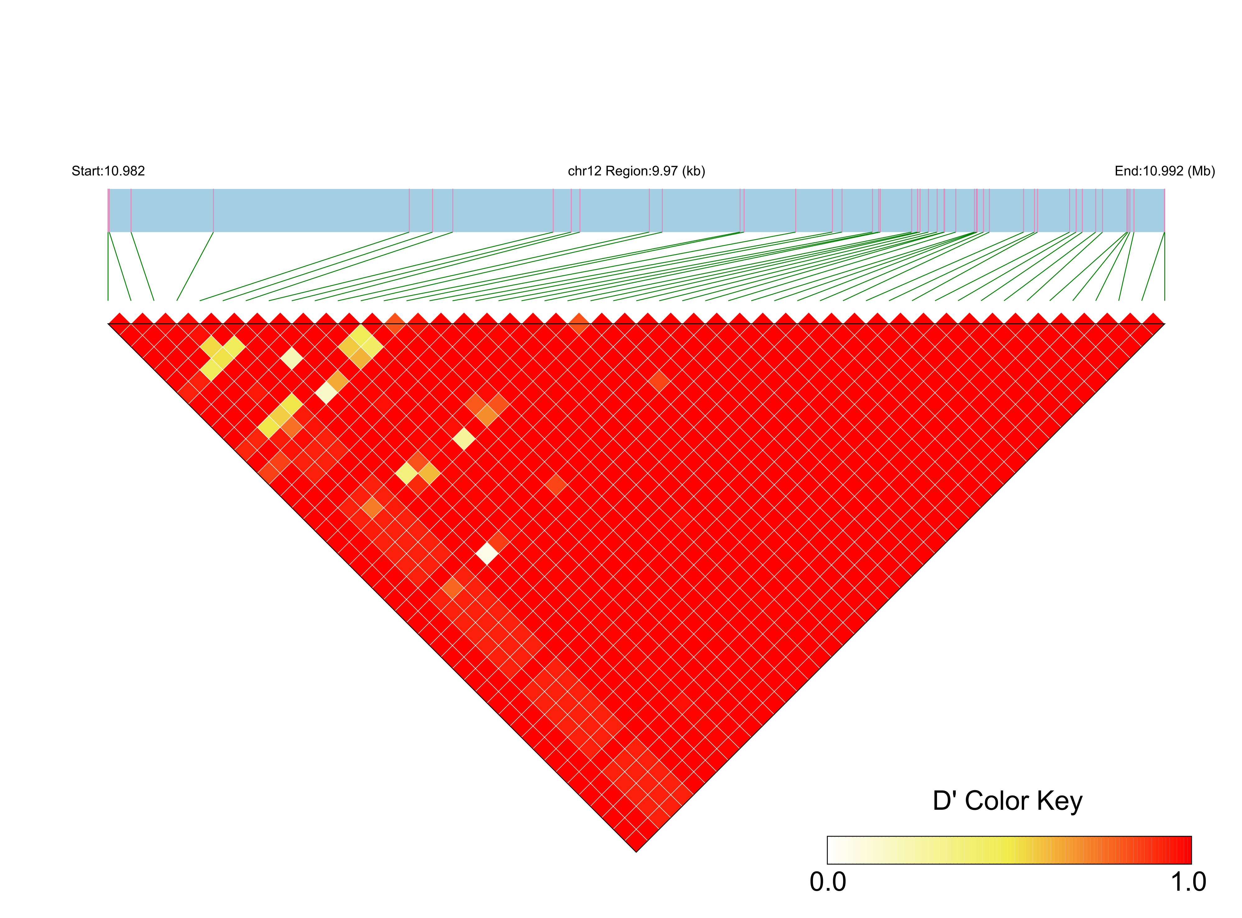 LD