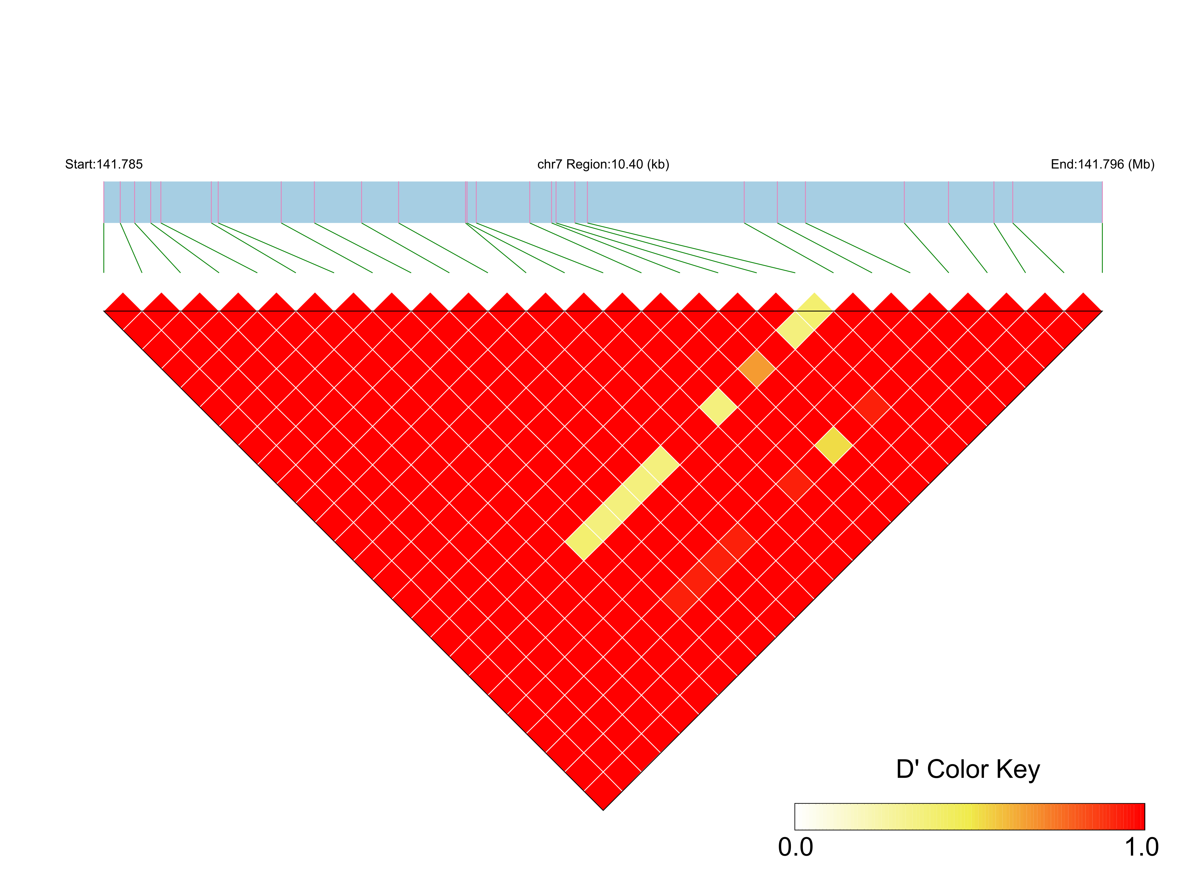 LD