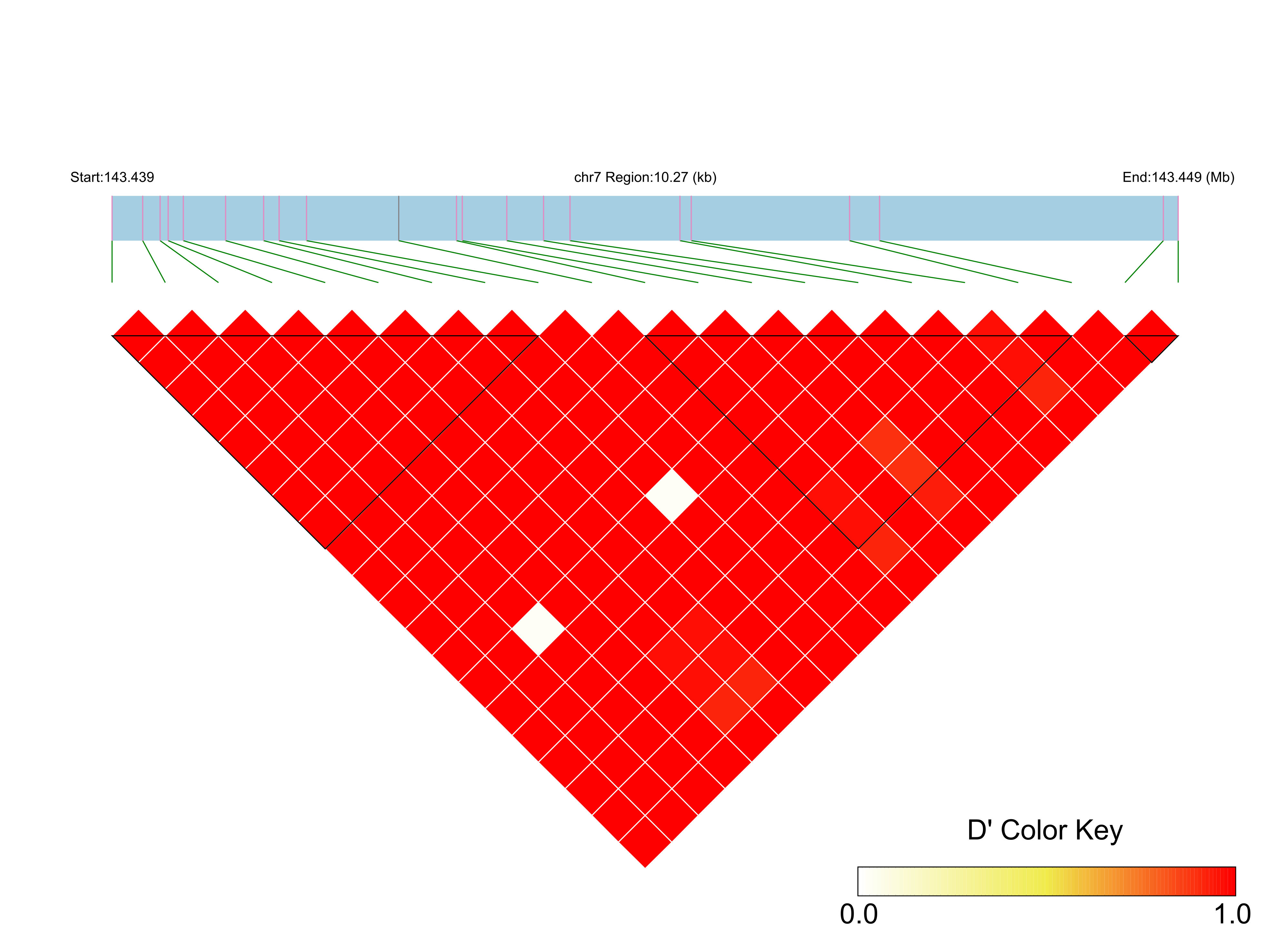 LD