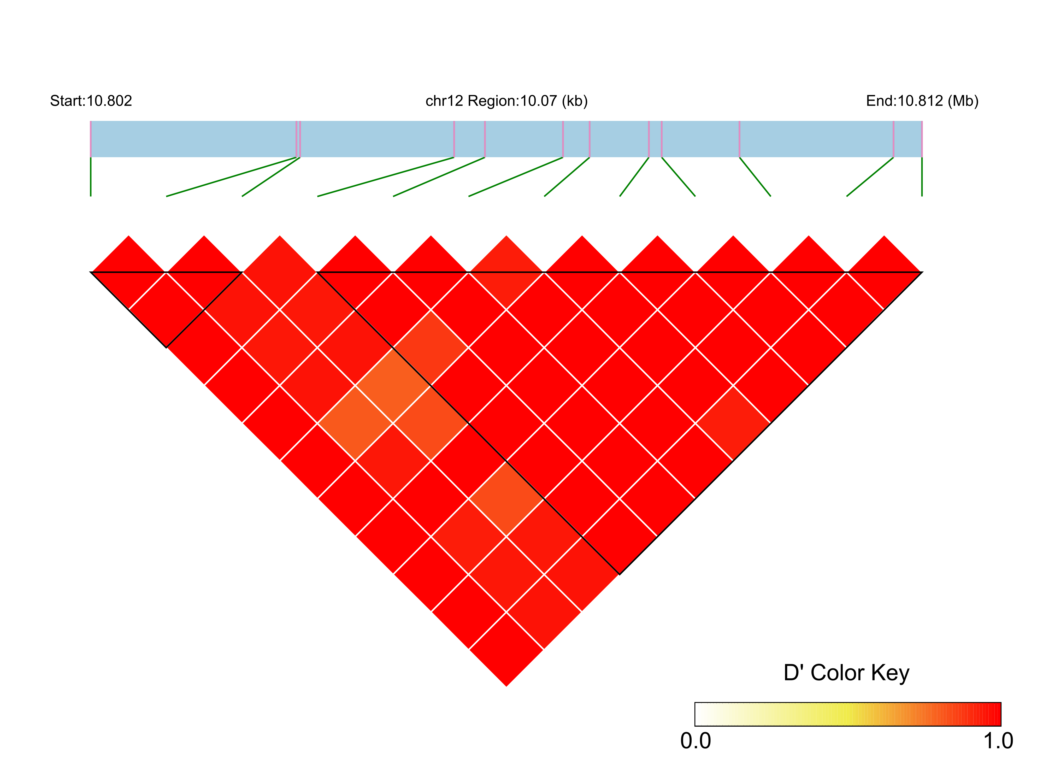 LD