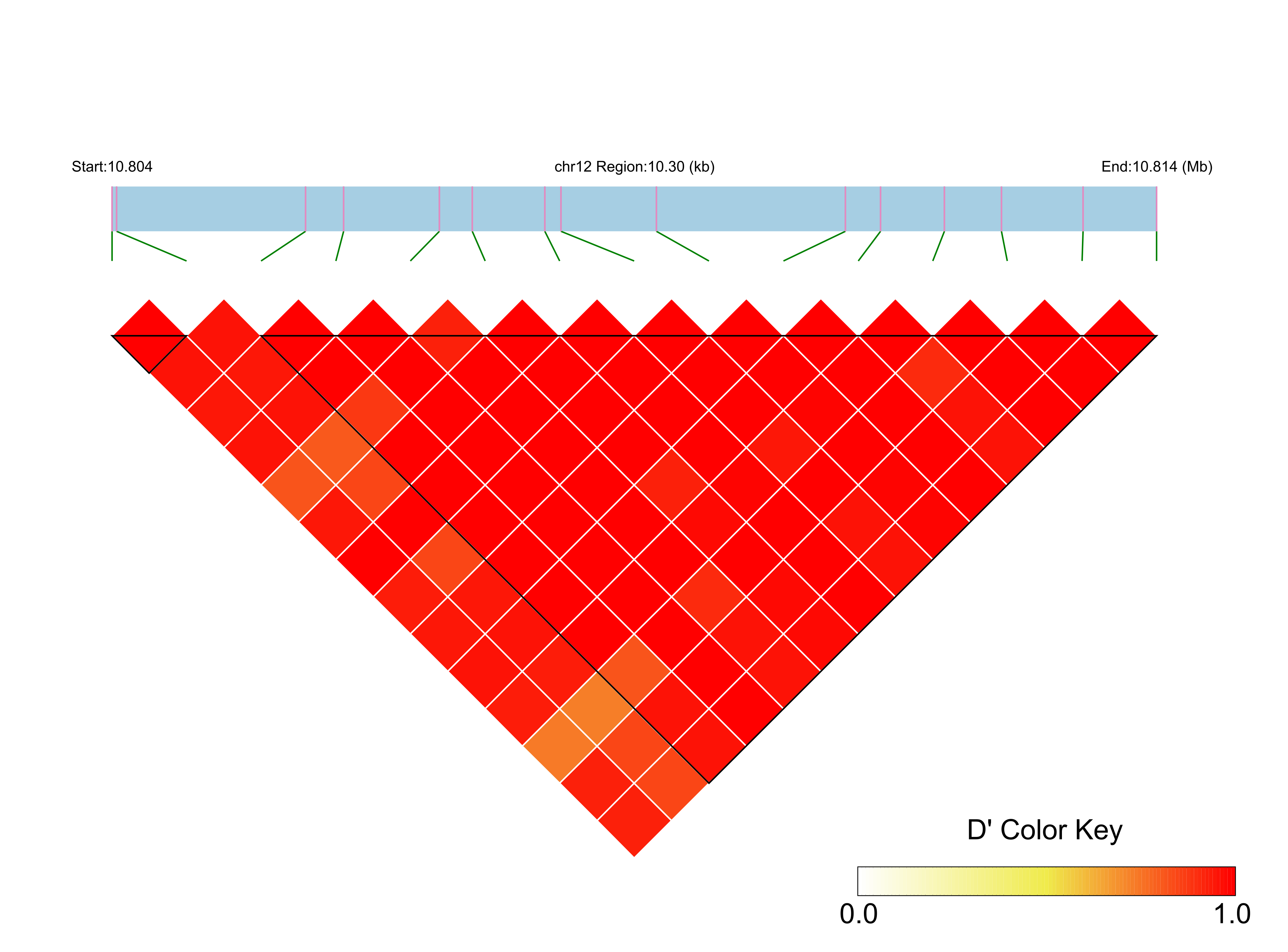LD