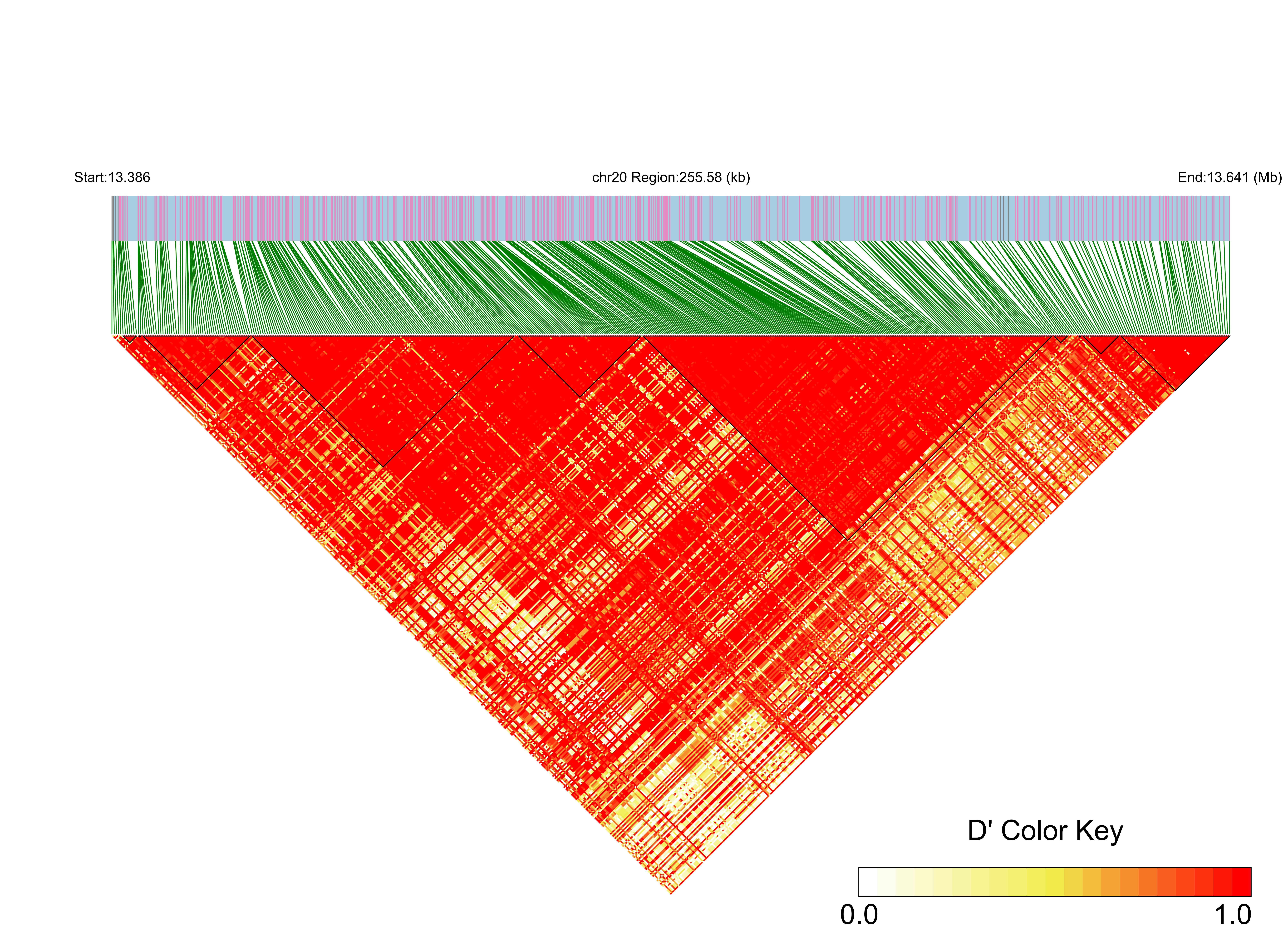 LD
