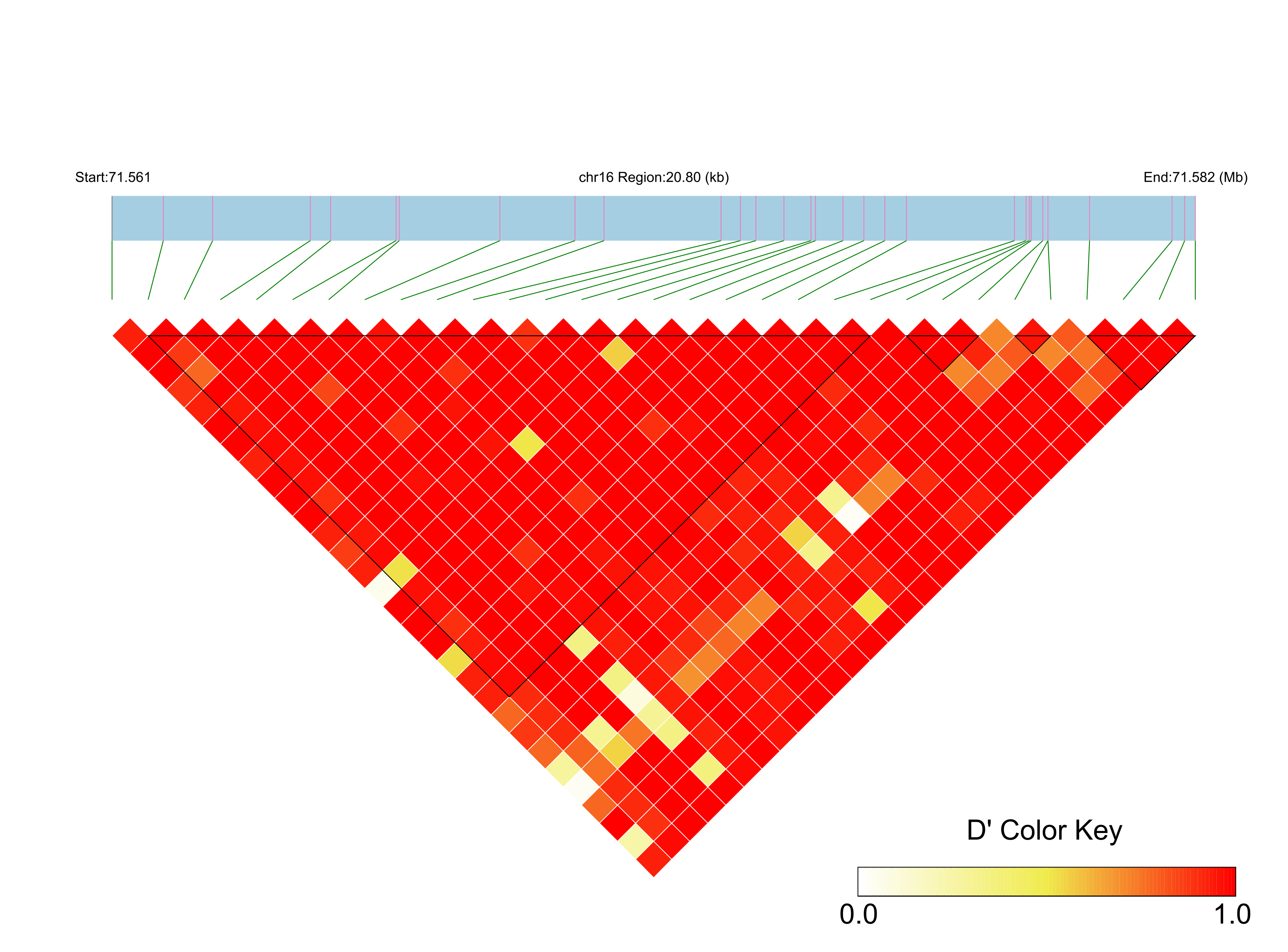 LD