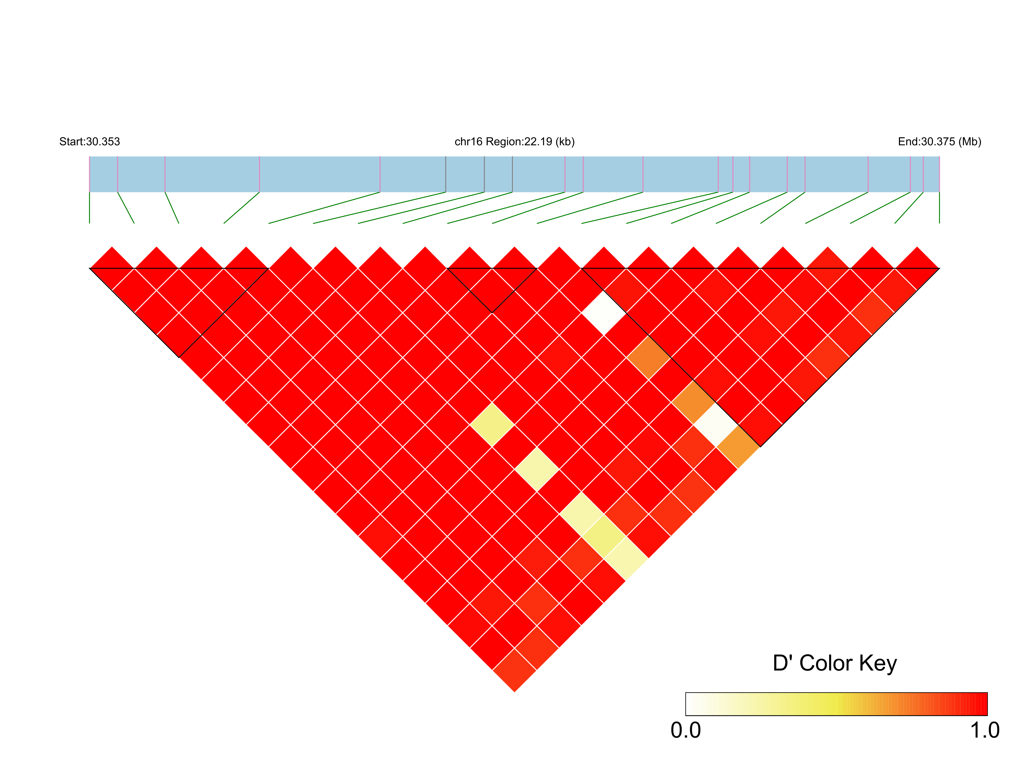 LD