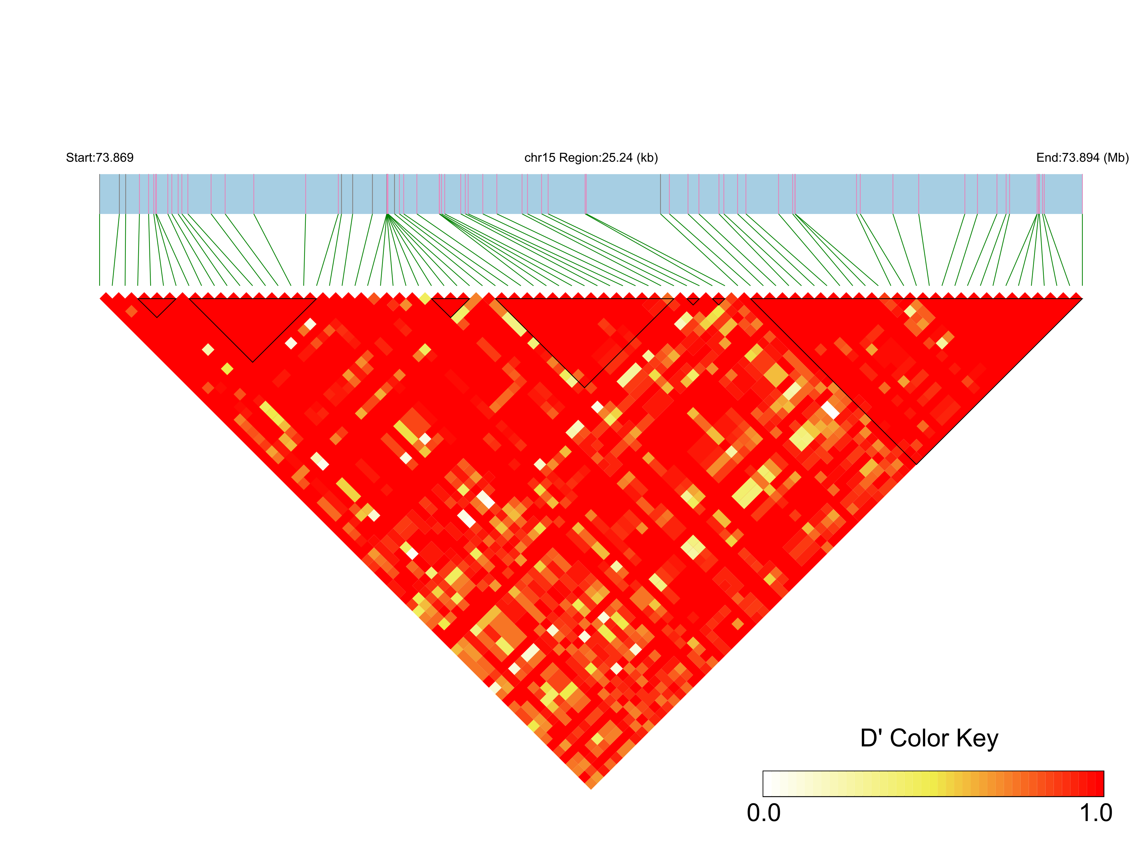 LD