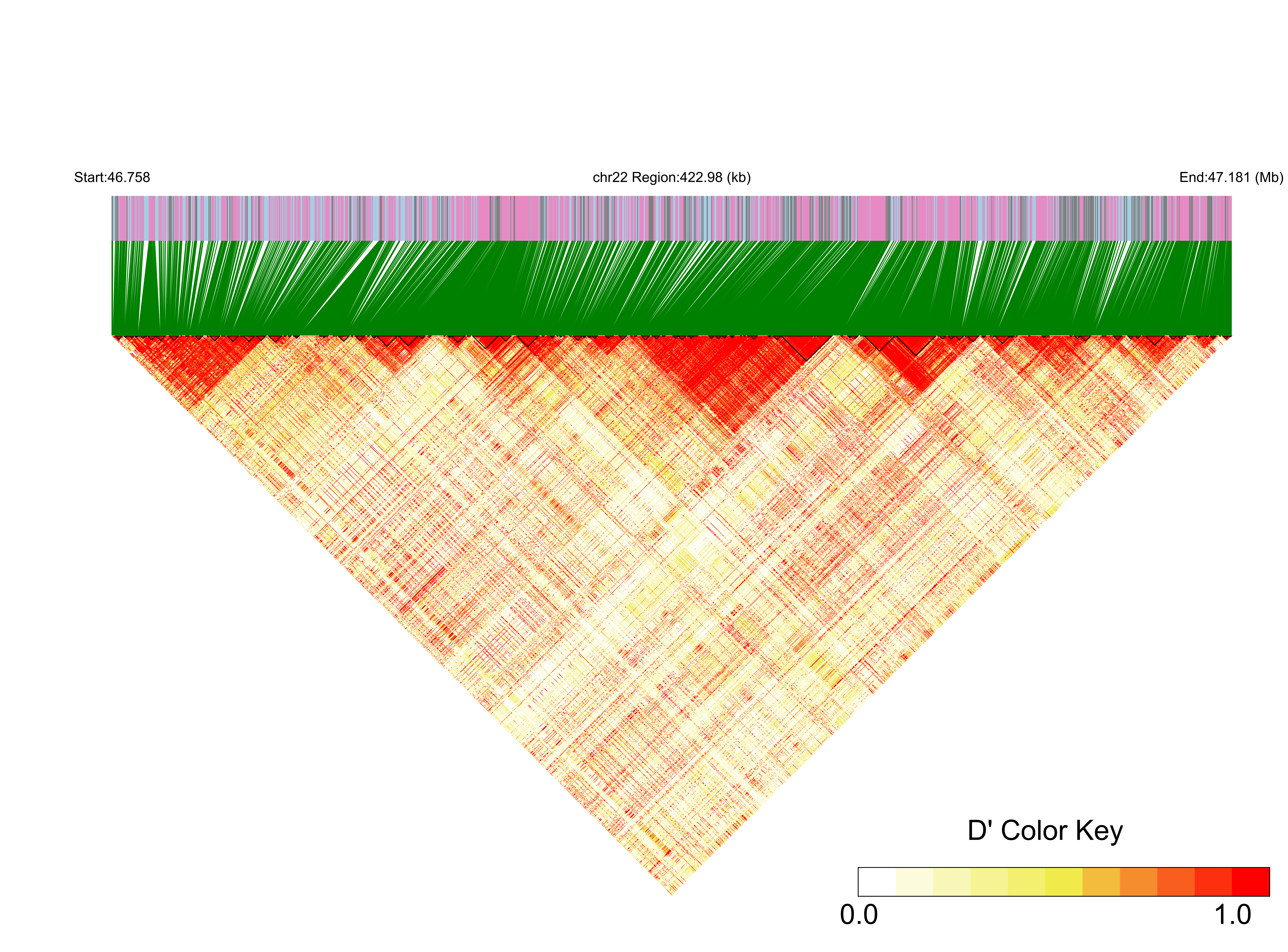 LD
