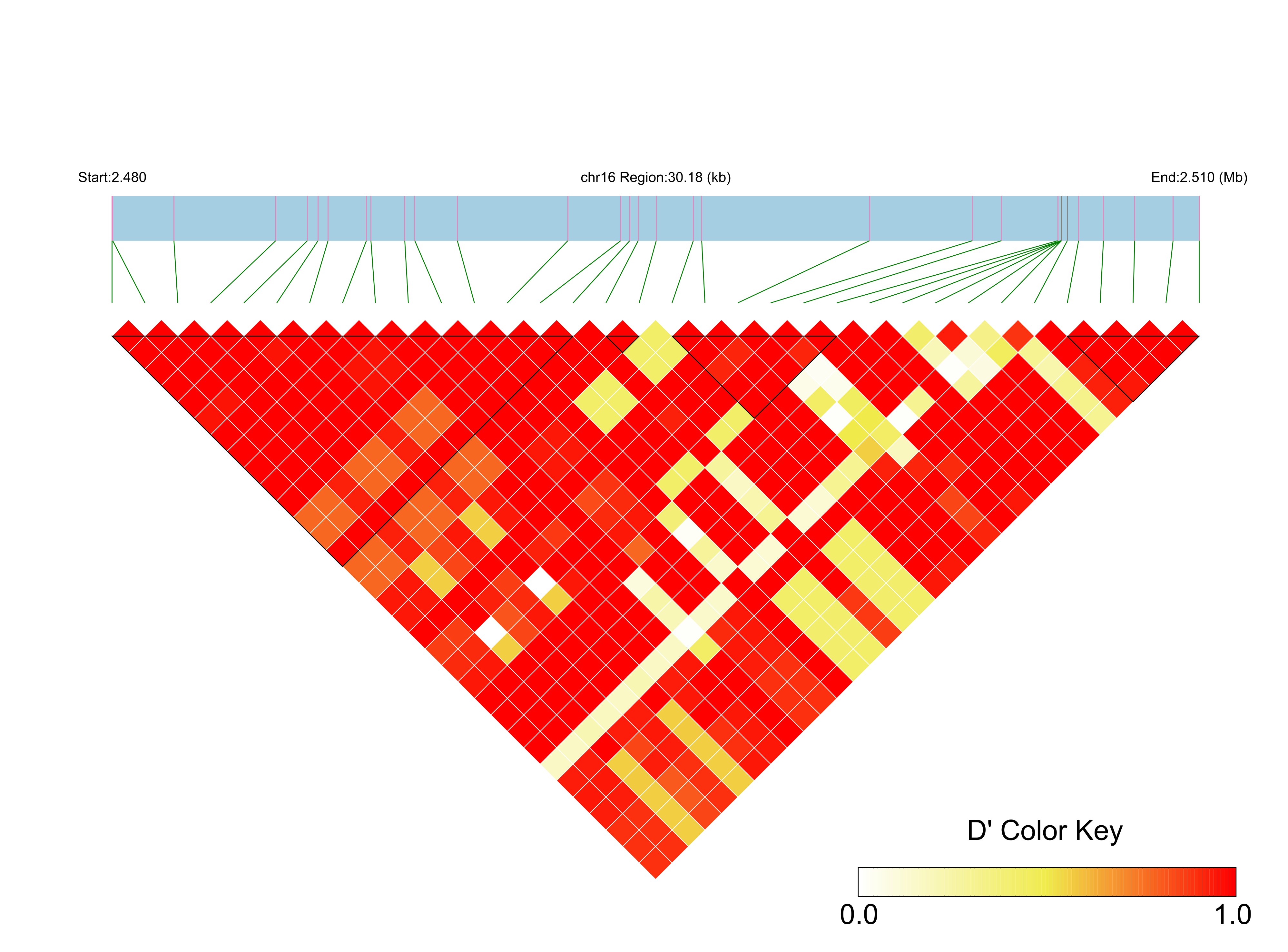 LD