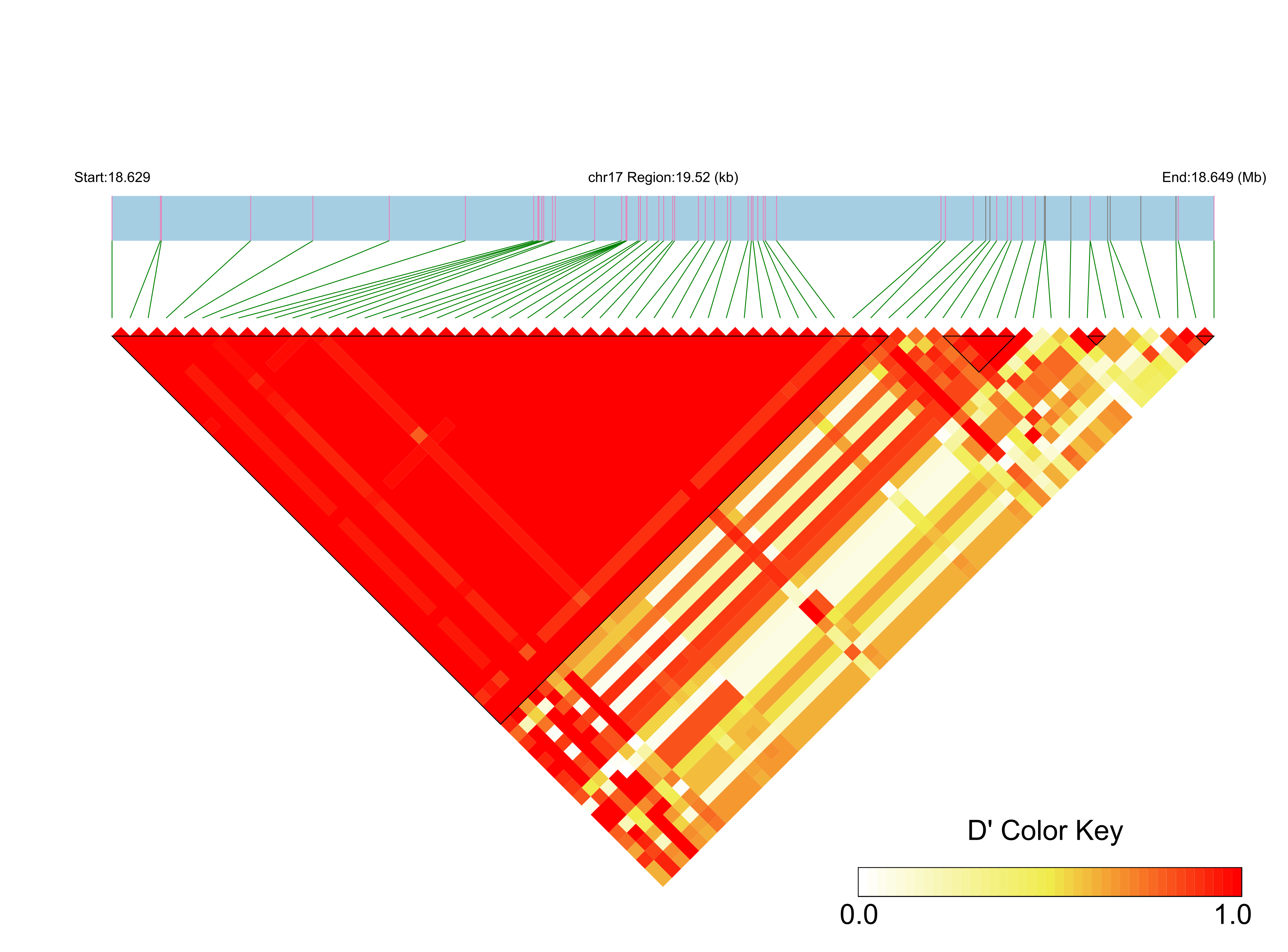 LD