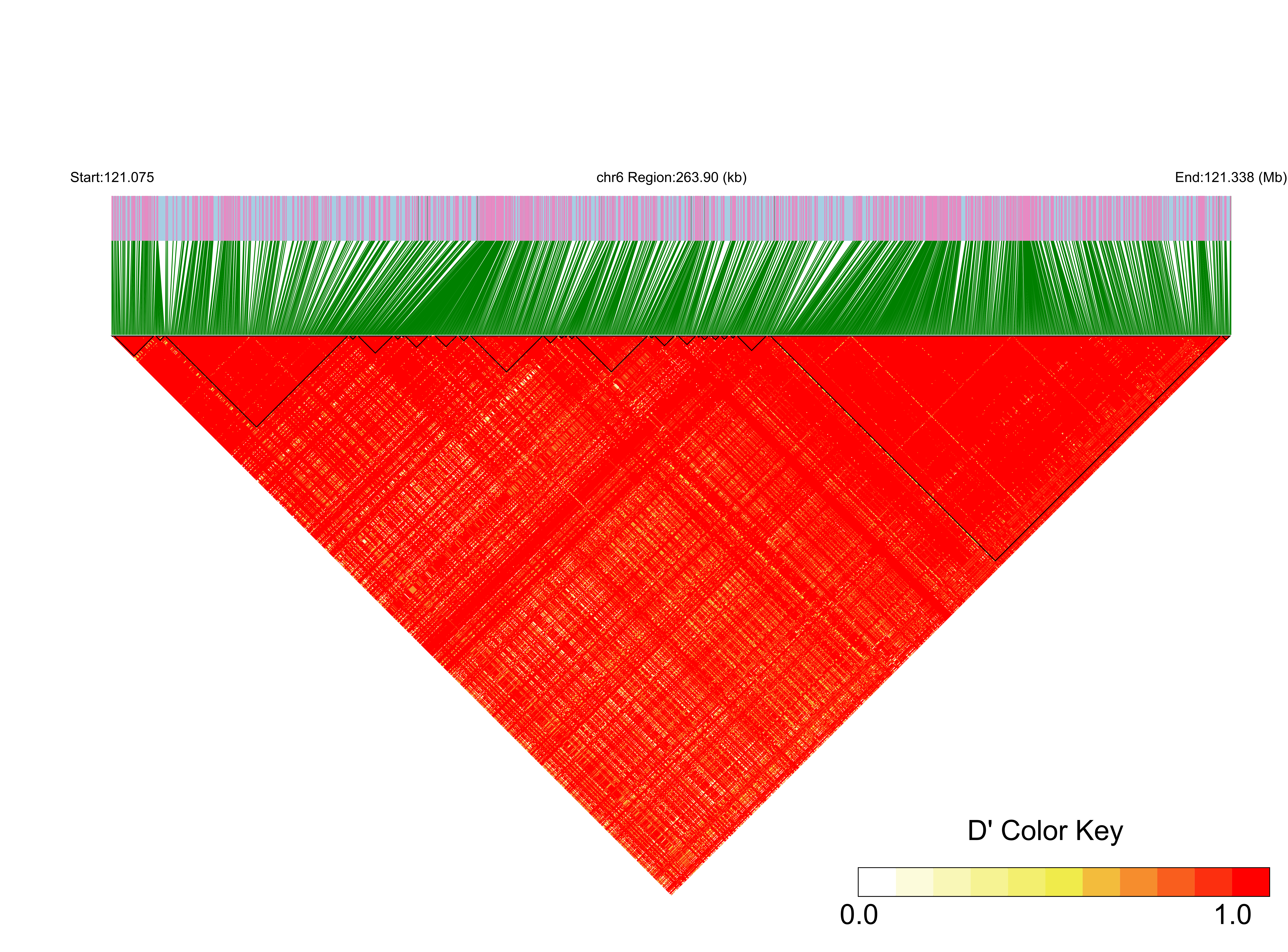 LD