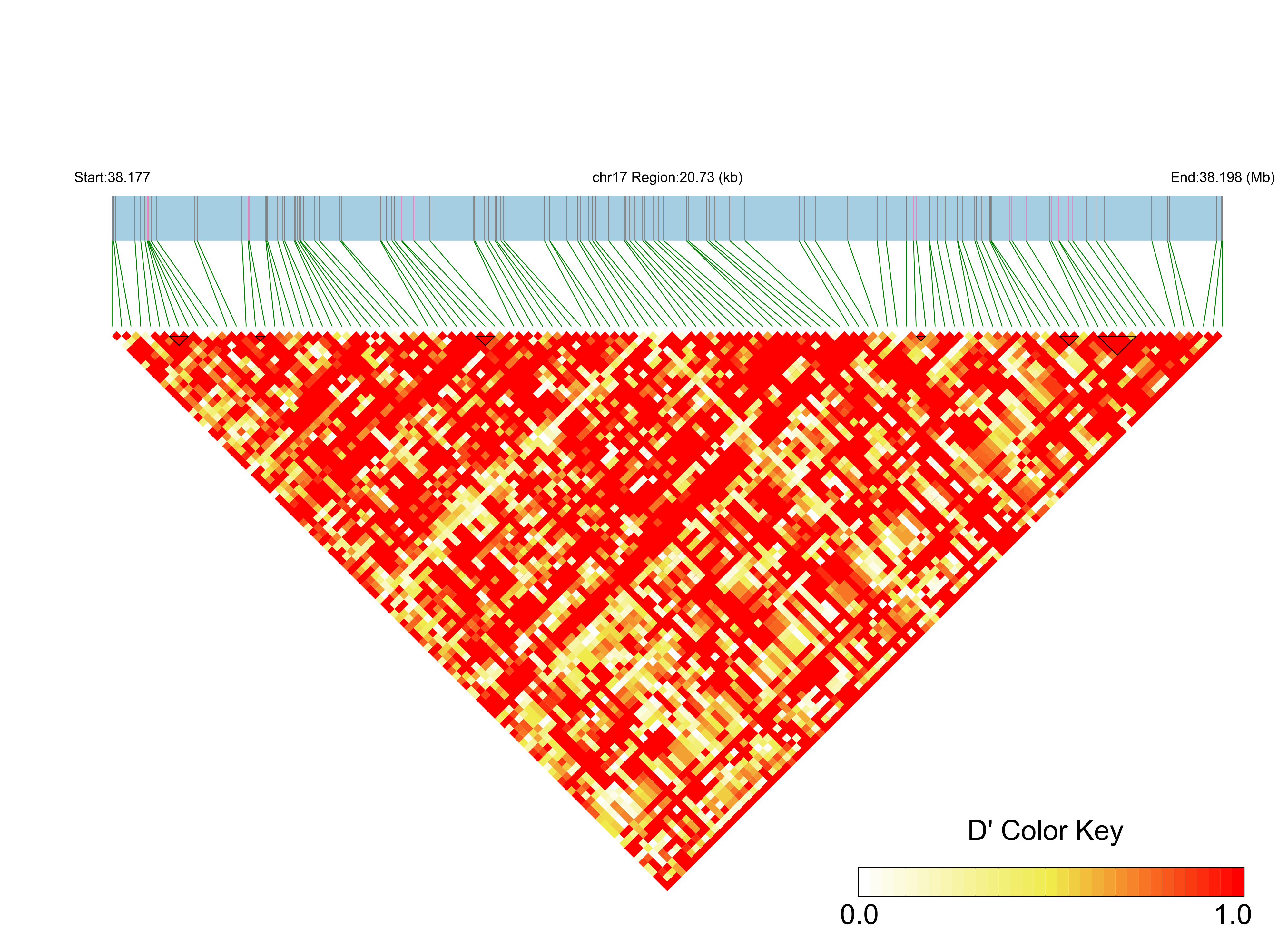 LD