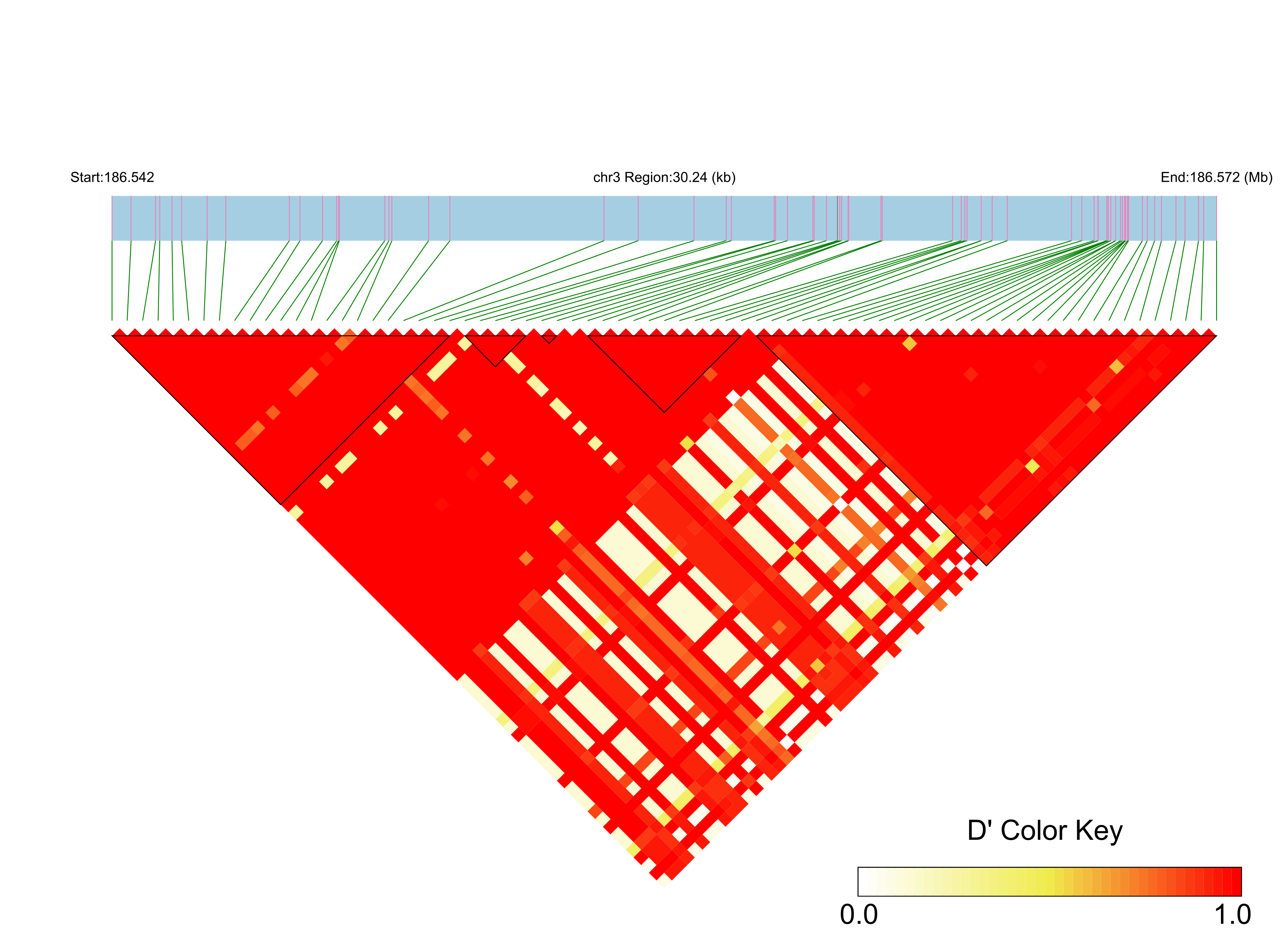 LD