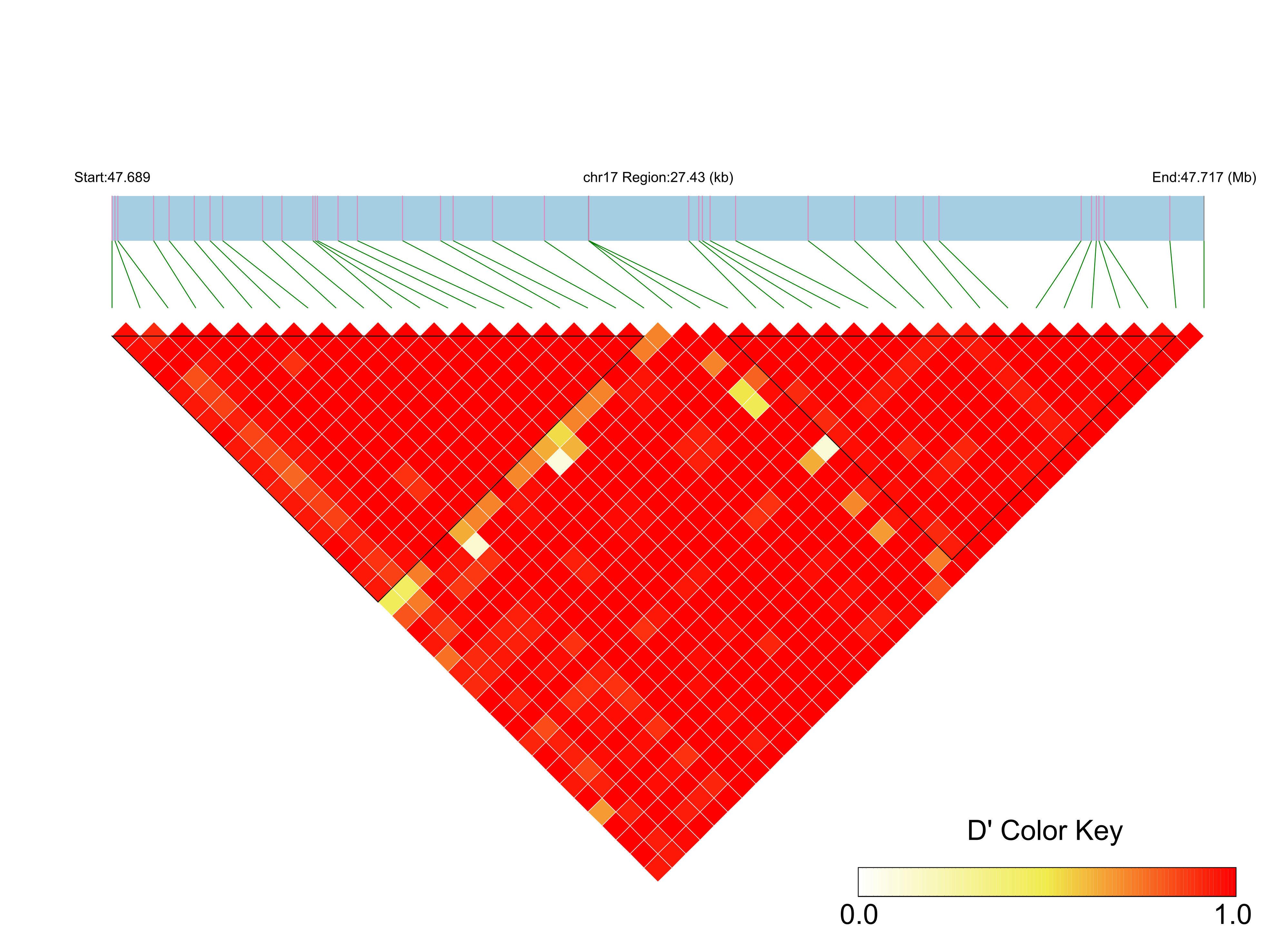 LD