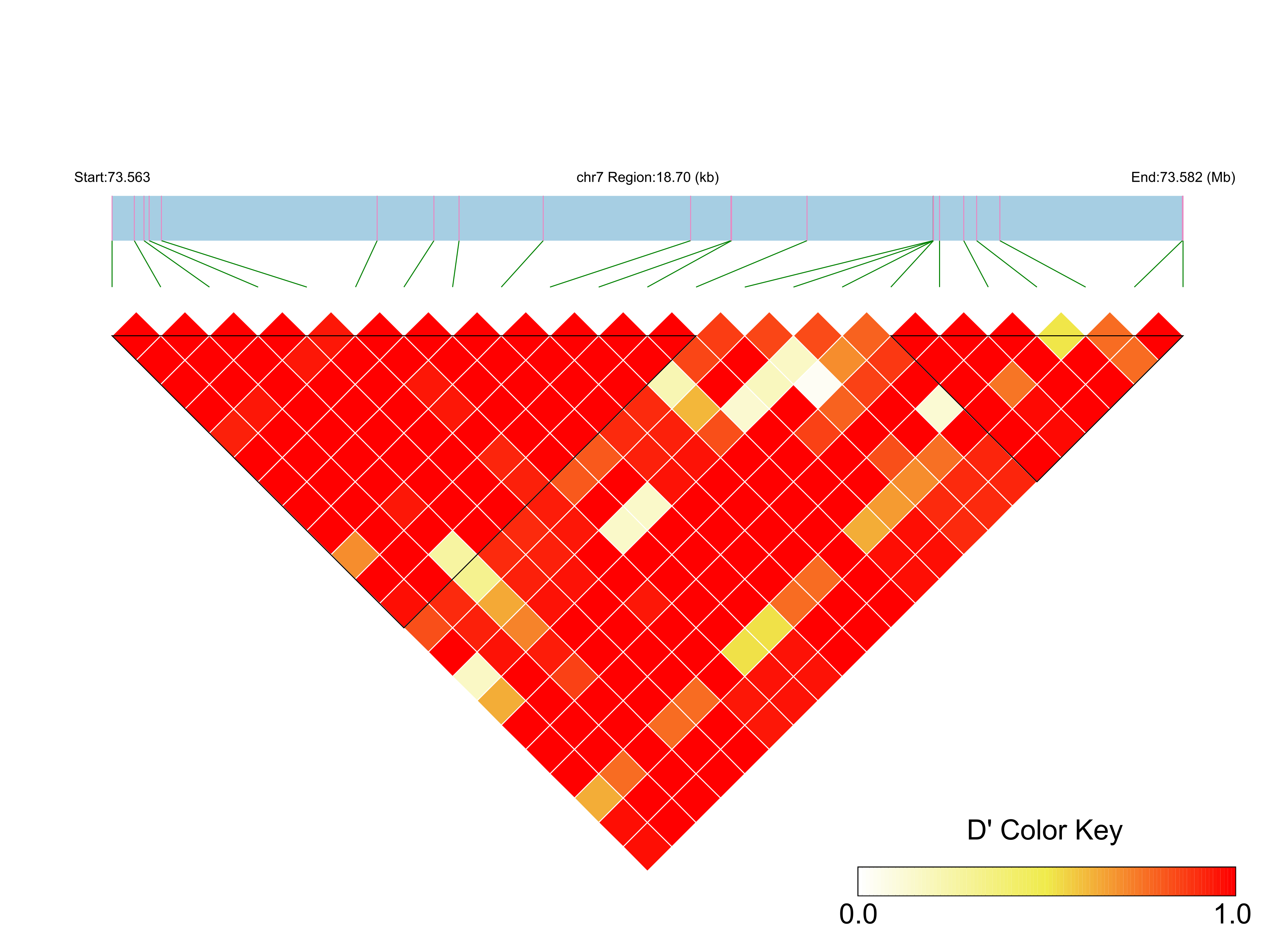 LD