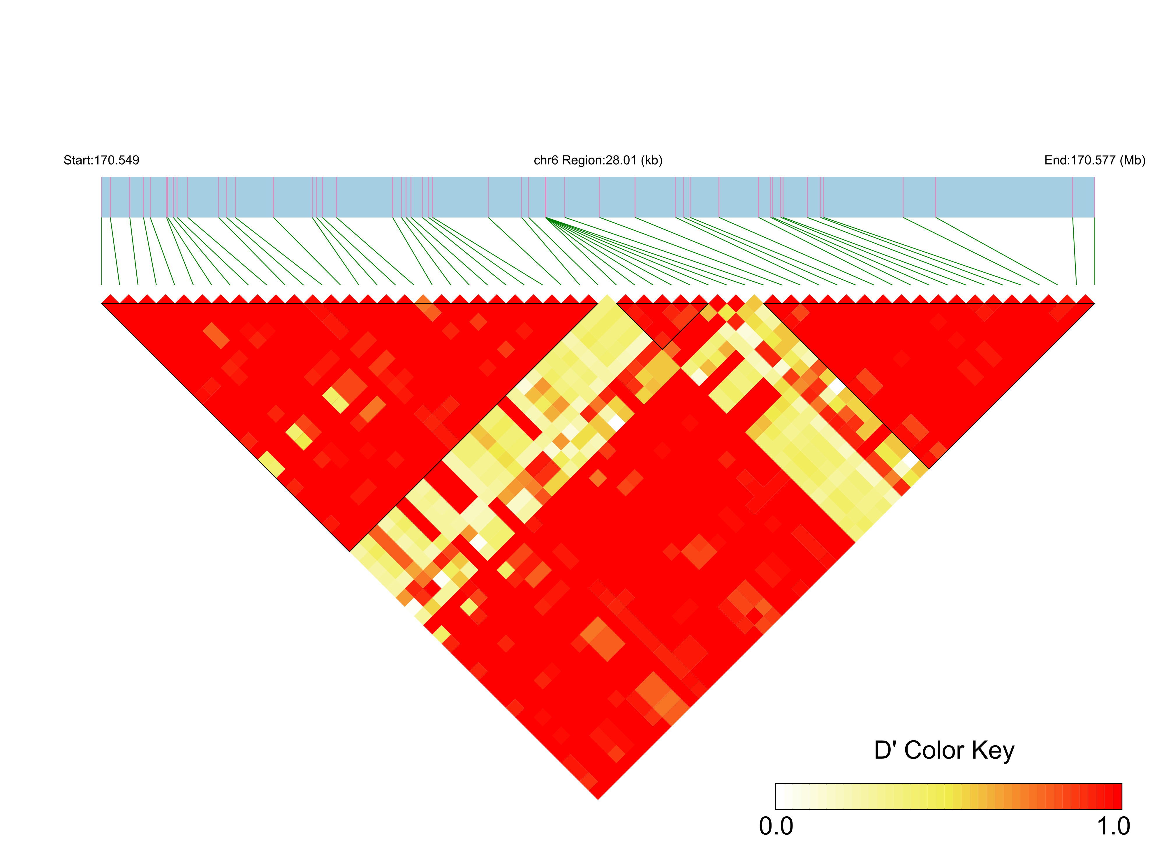 LD