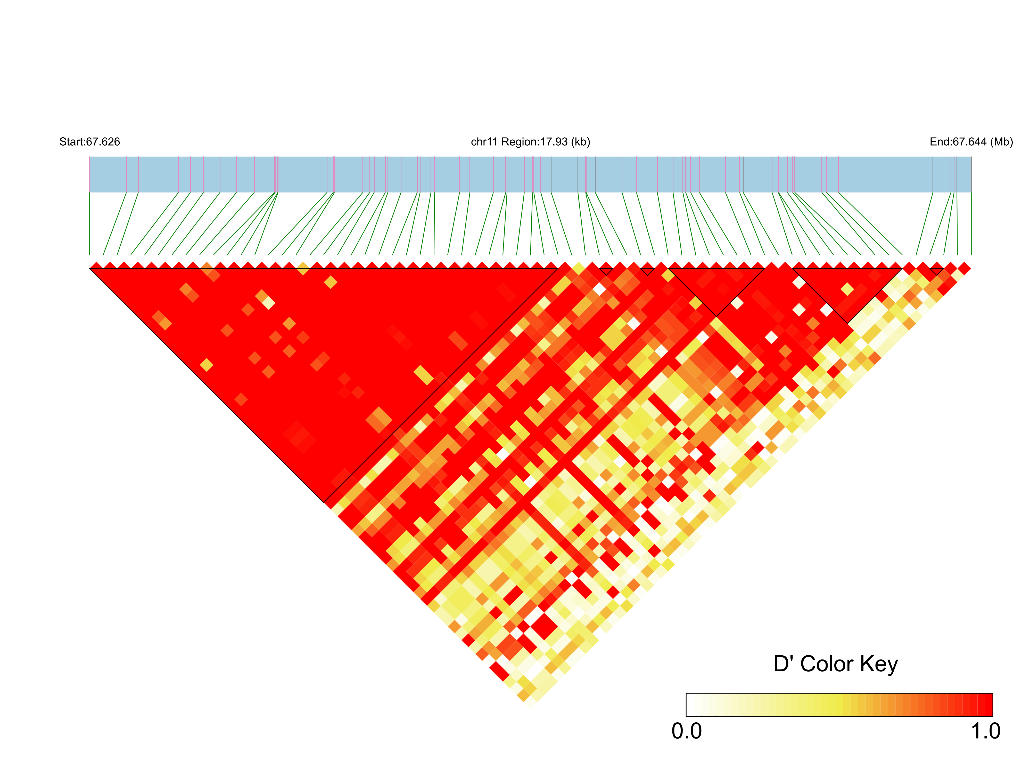 LD