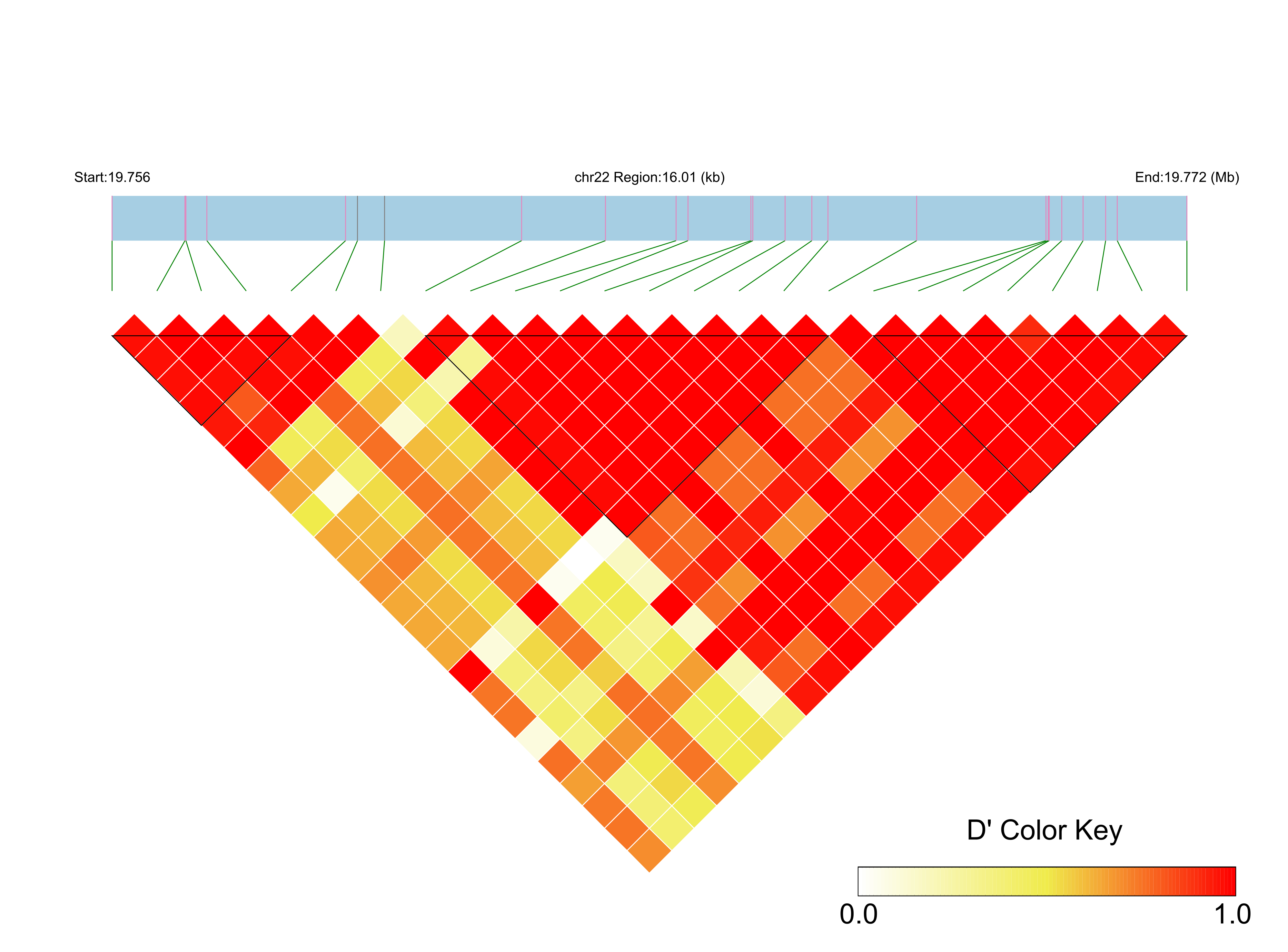 LD