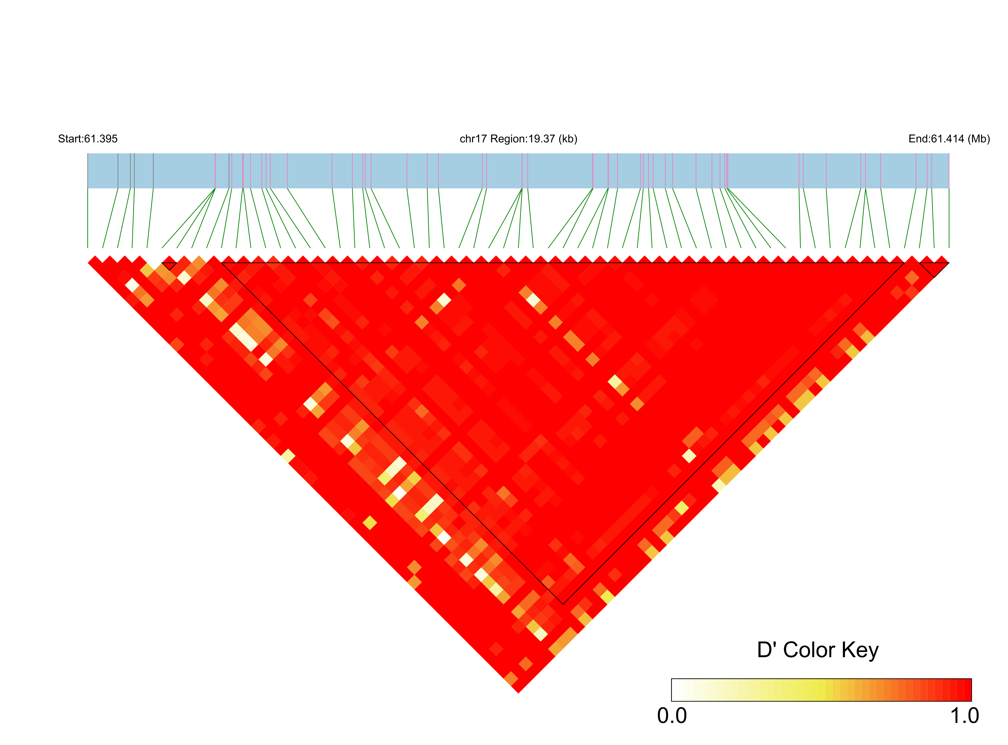 LD