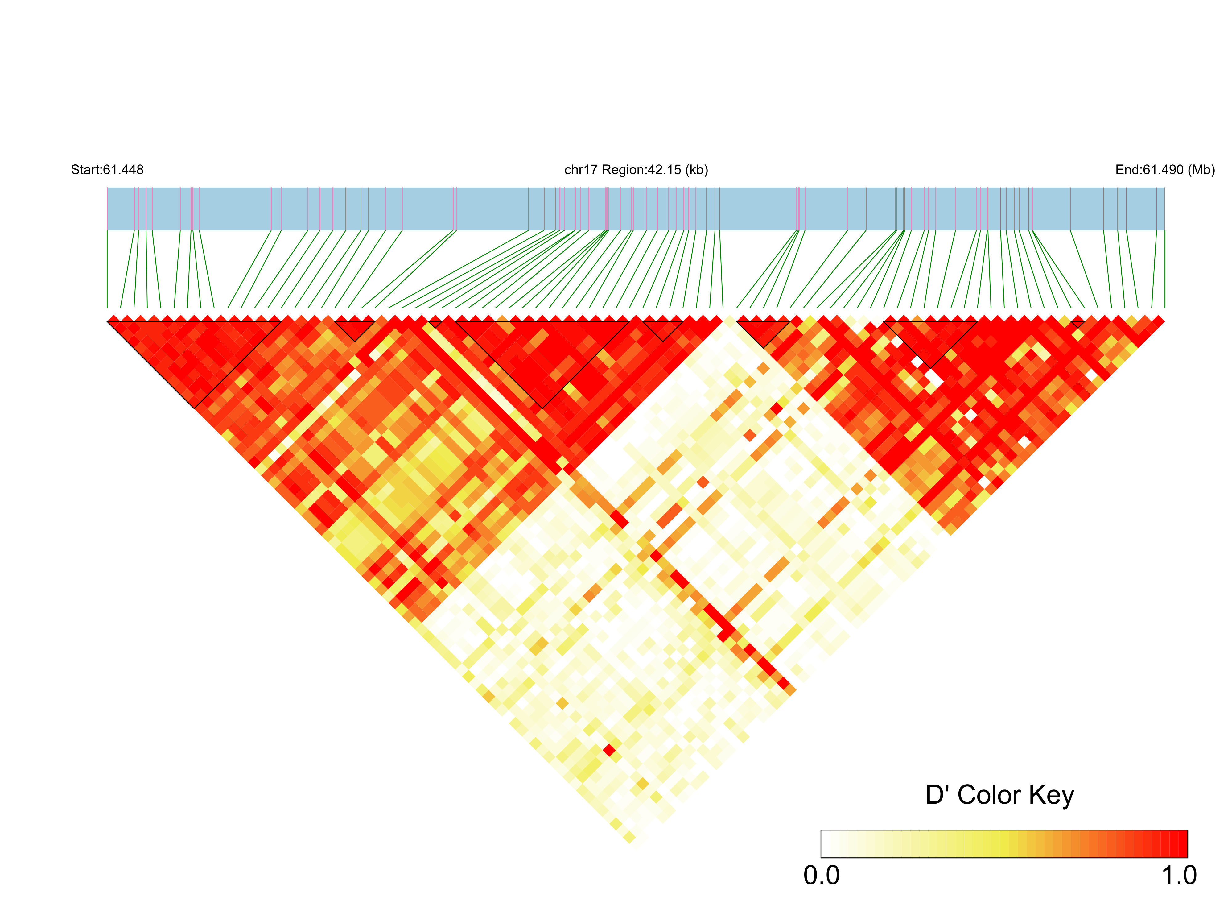 LD