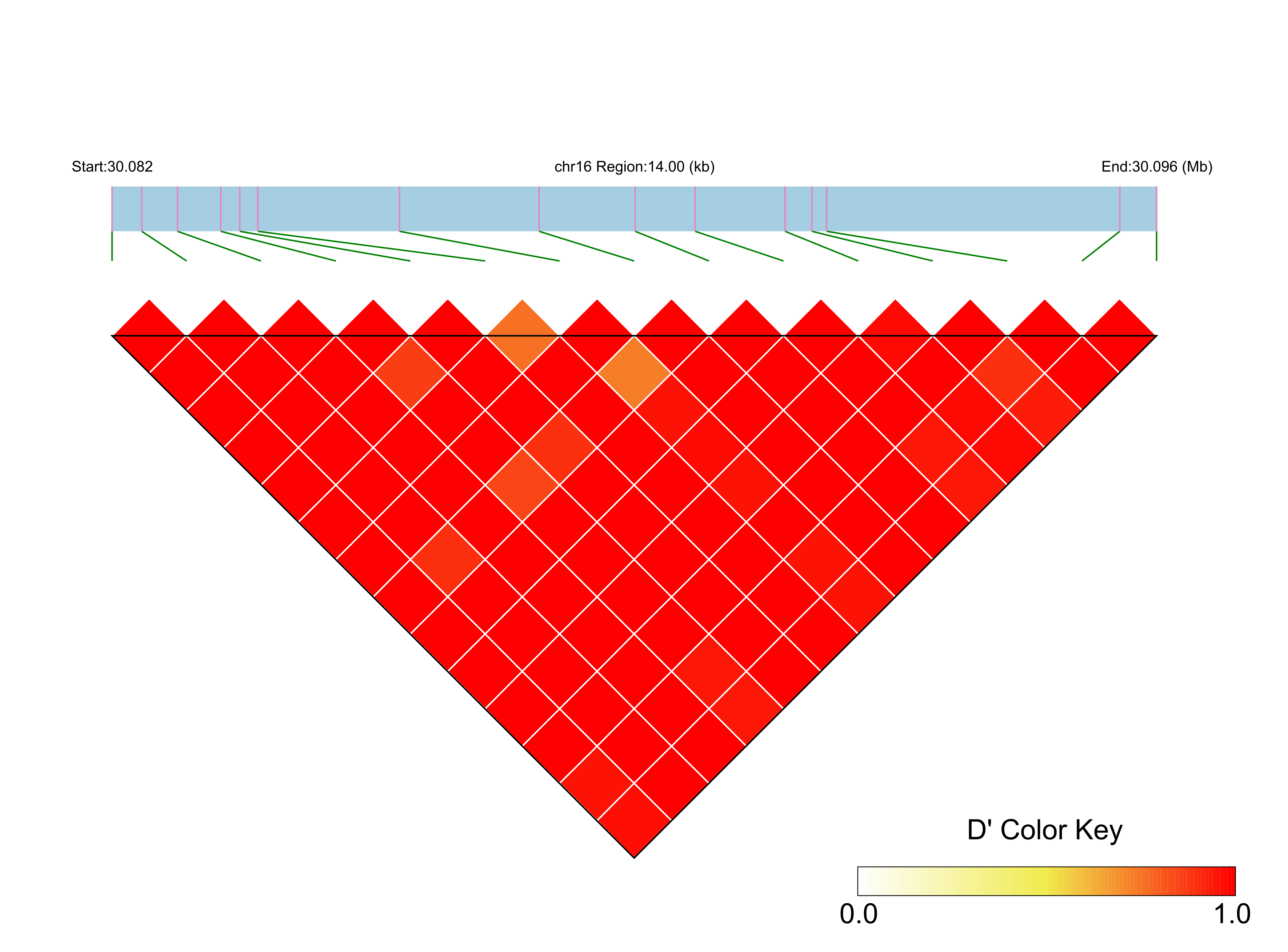 LD