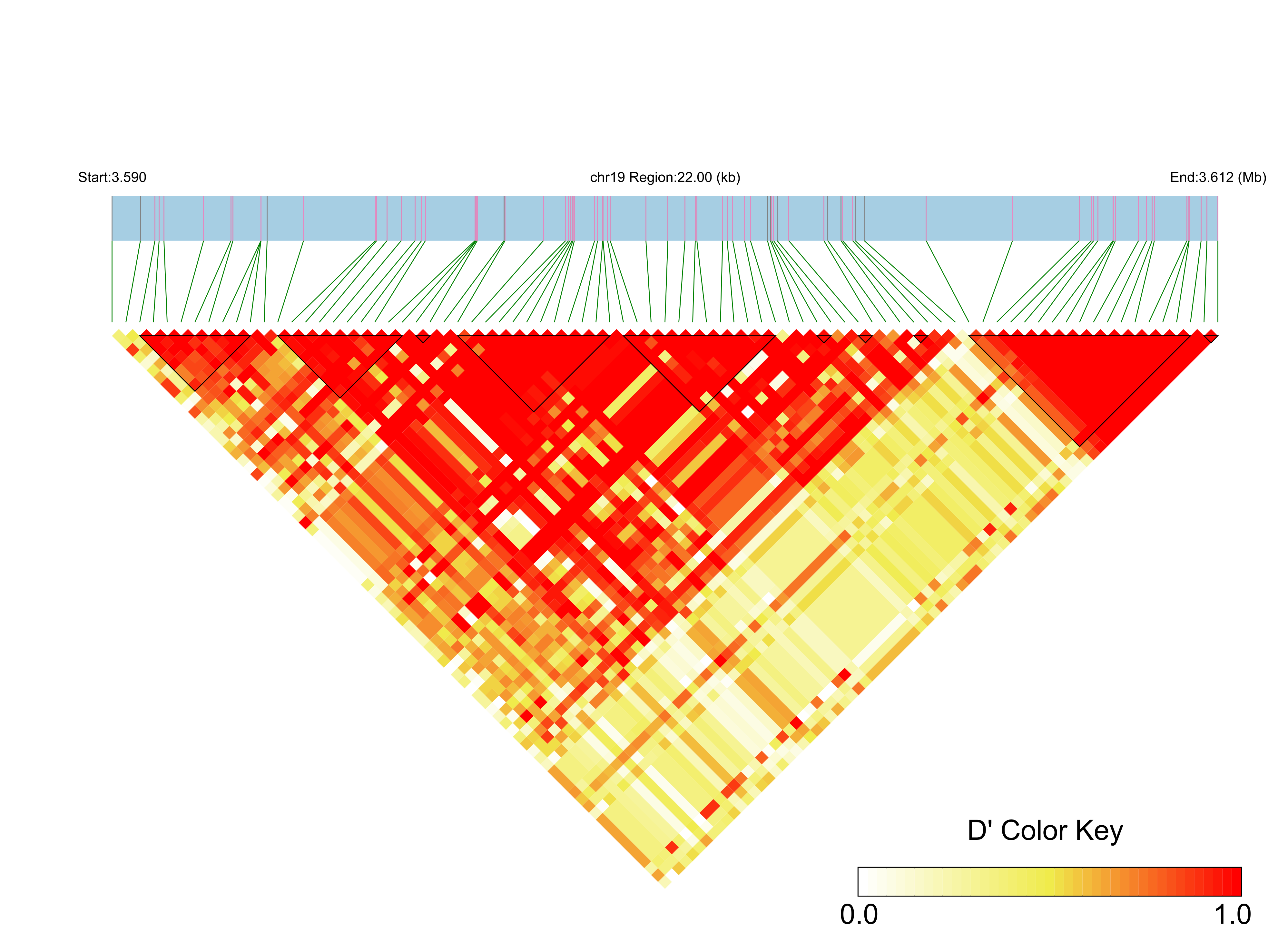 LD