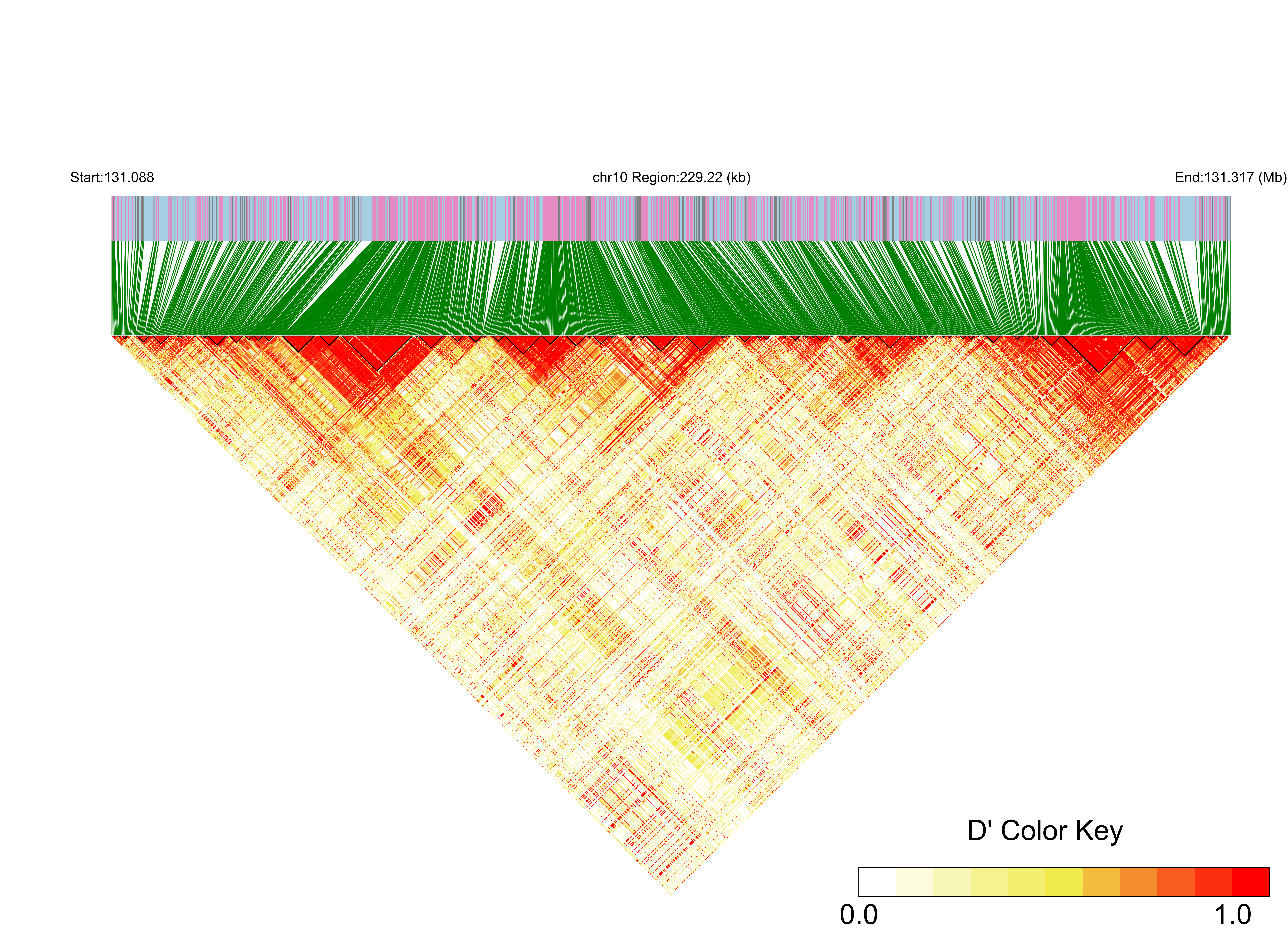 LD