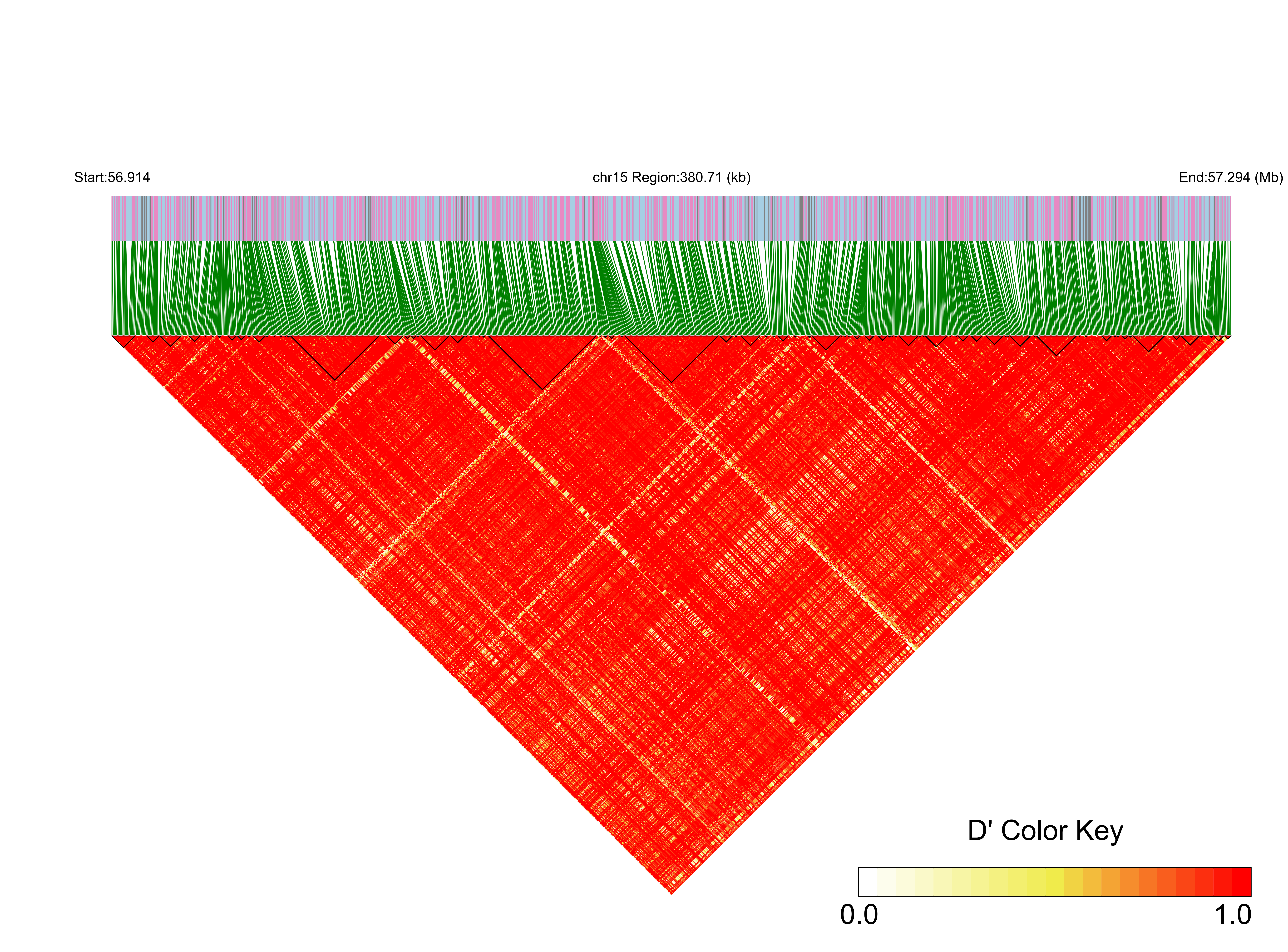 LD