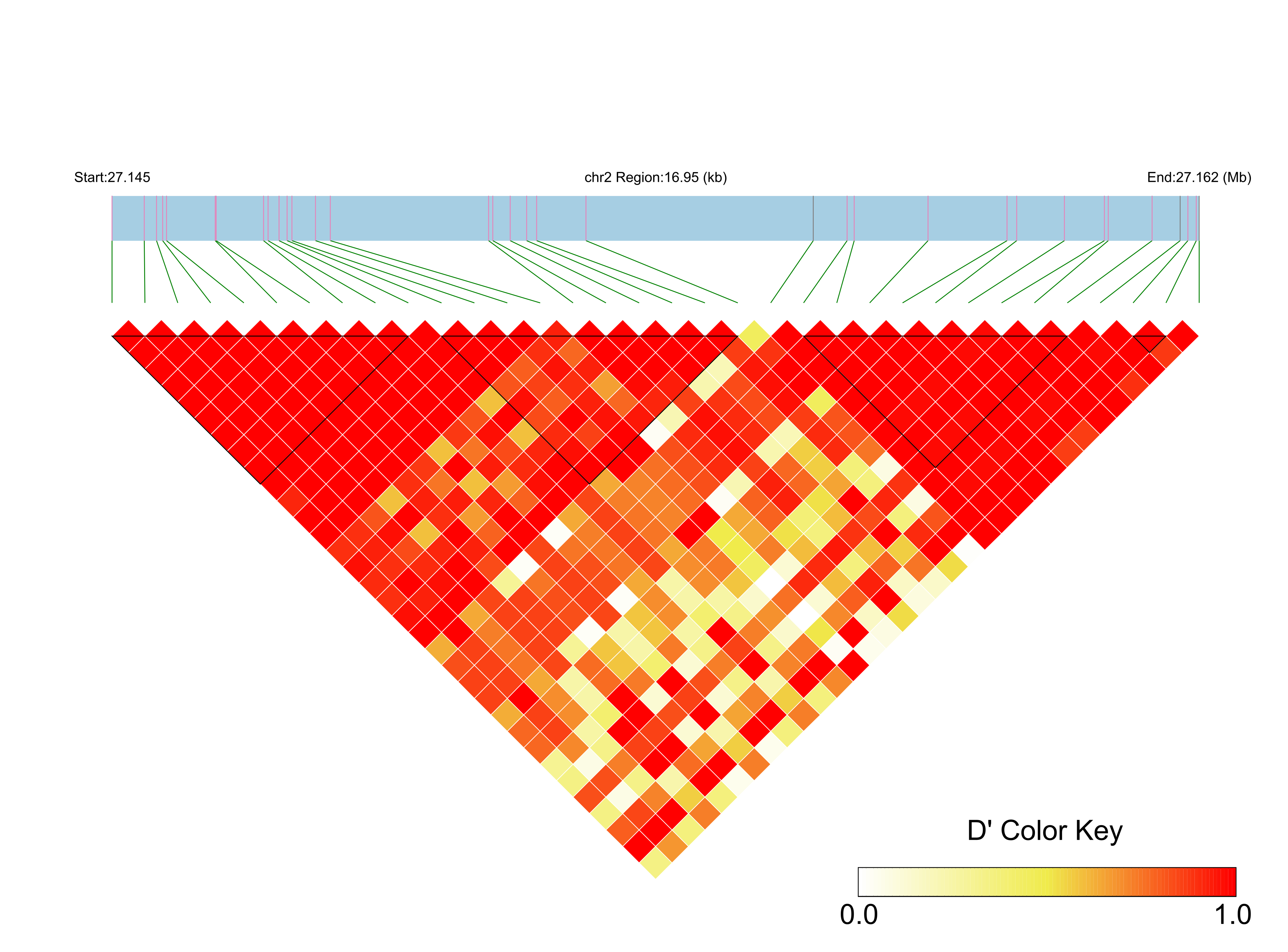 LD