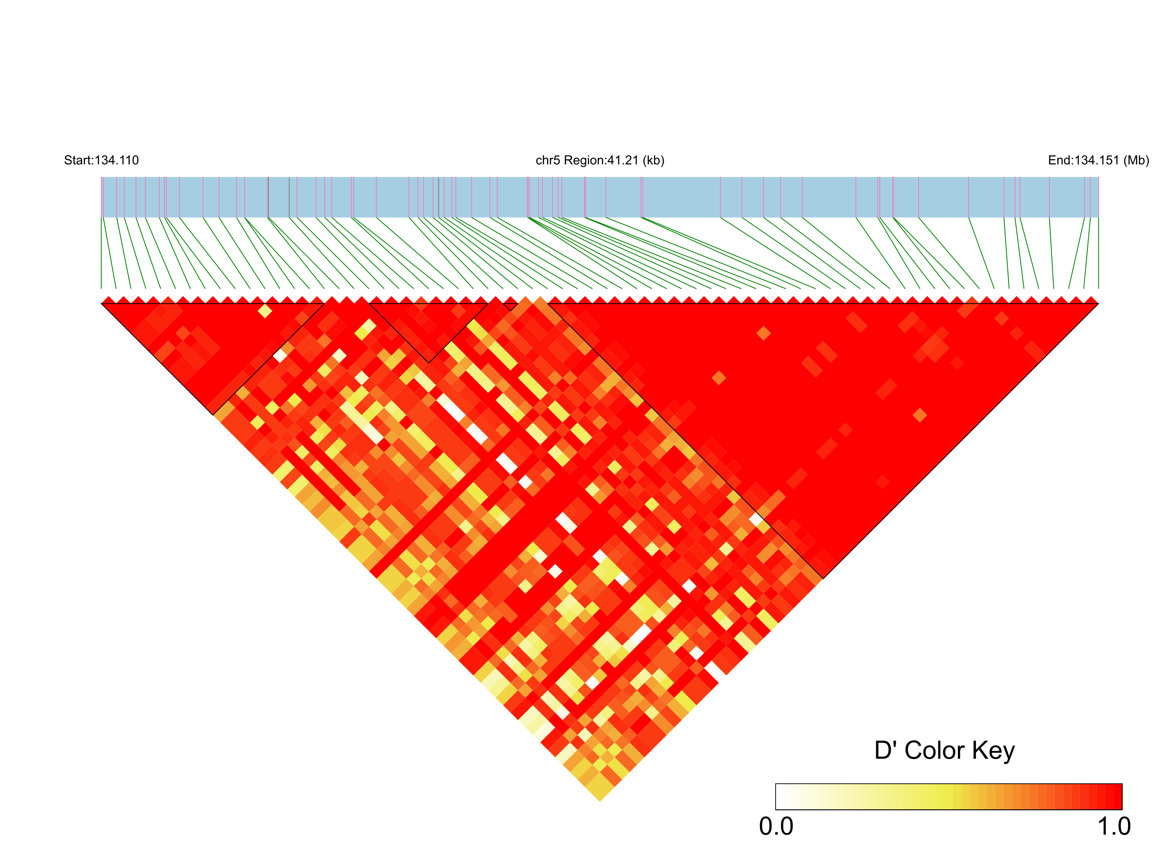 LD