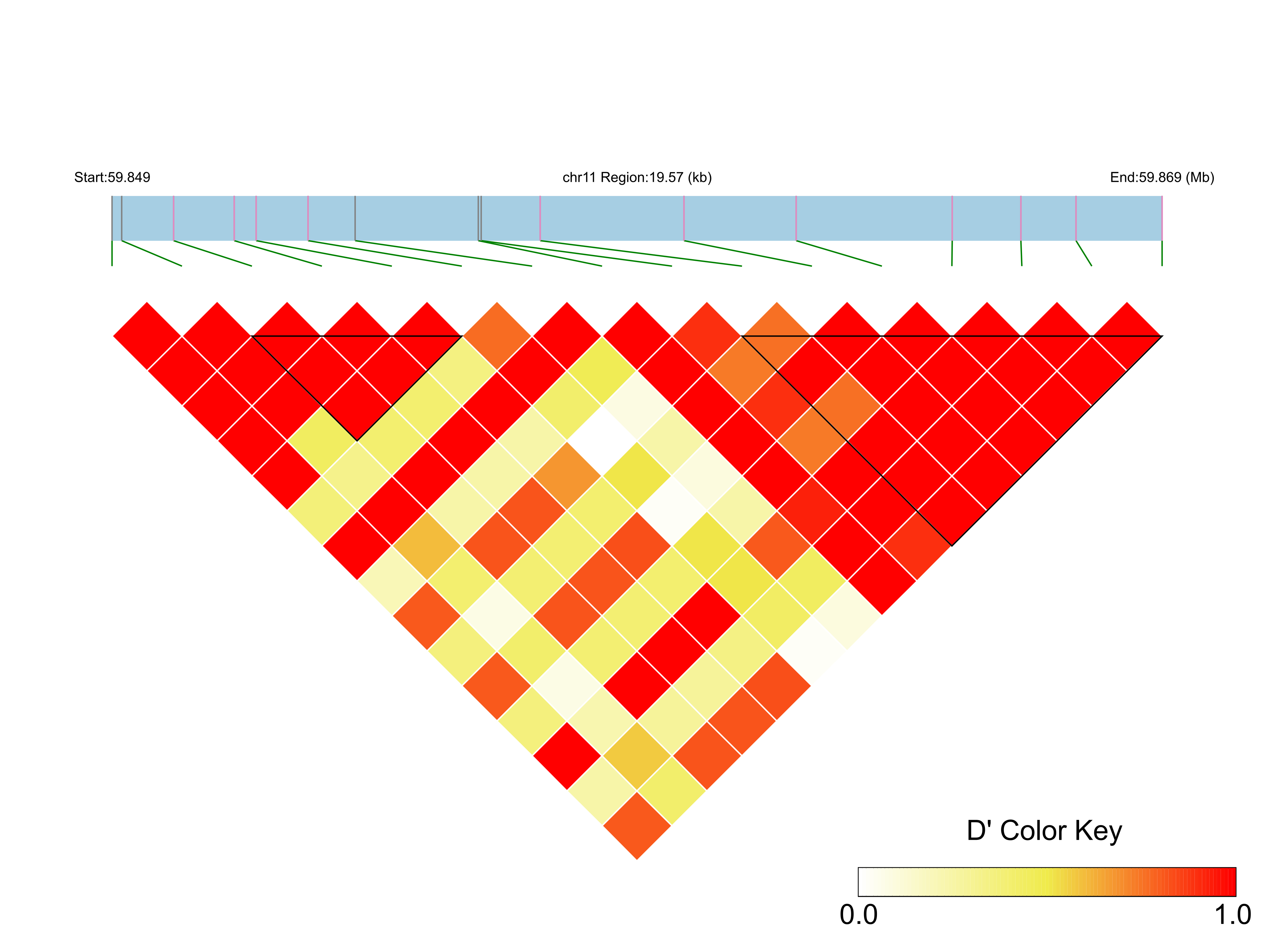 LD
