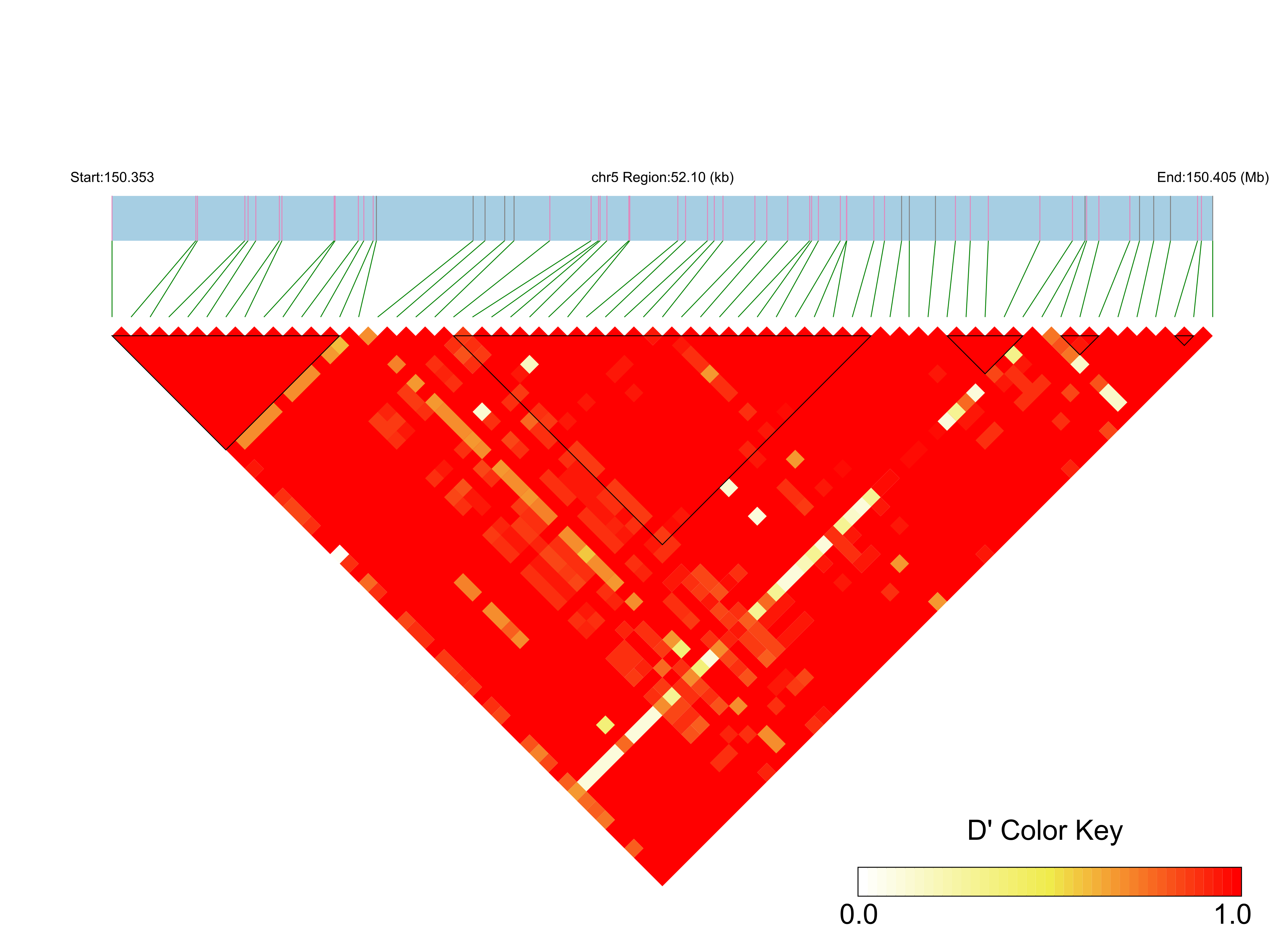 LD