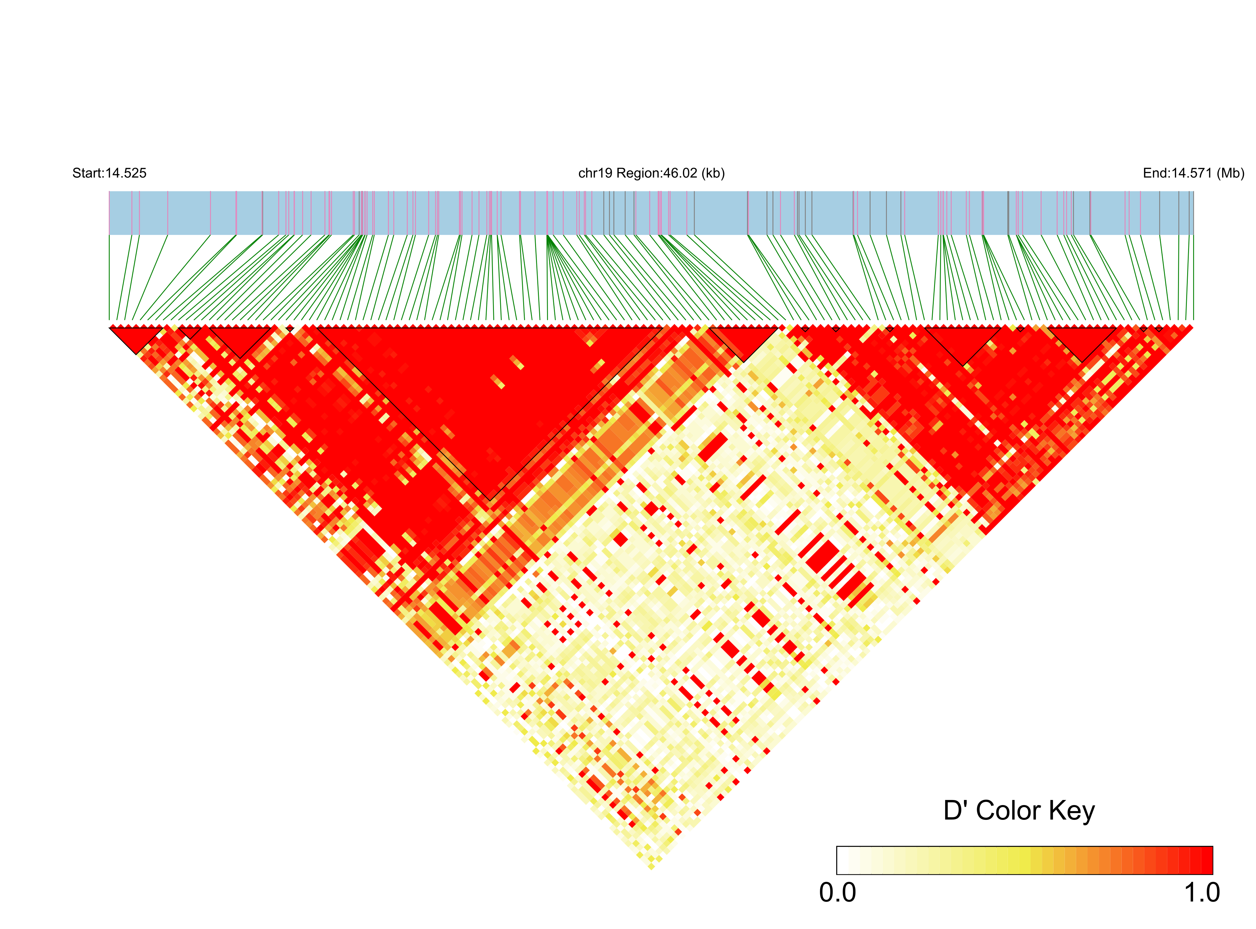 LD