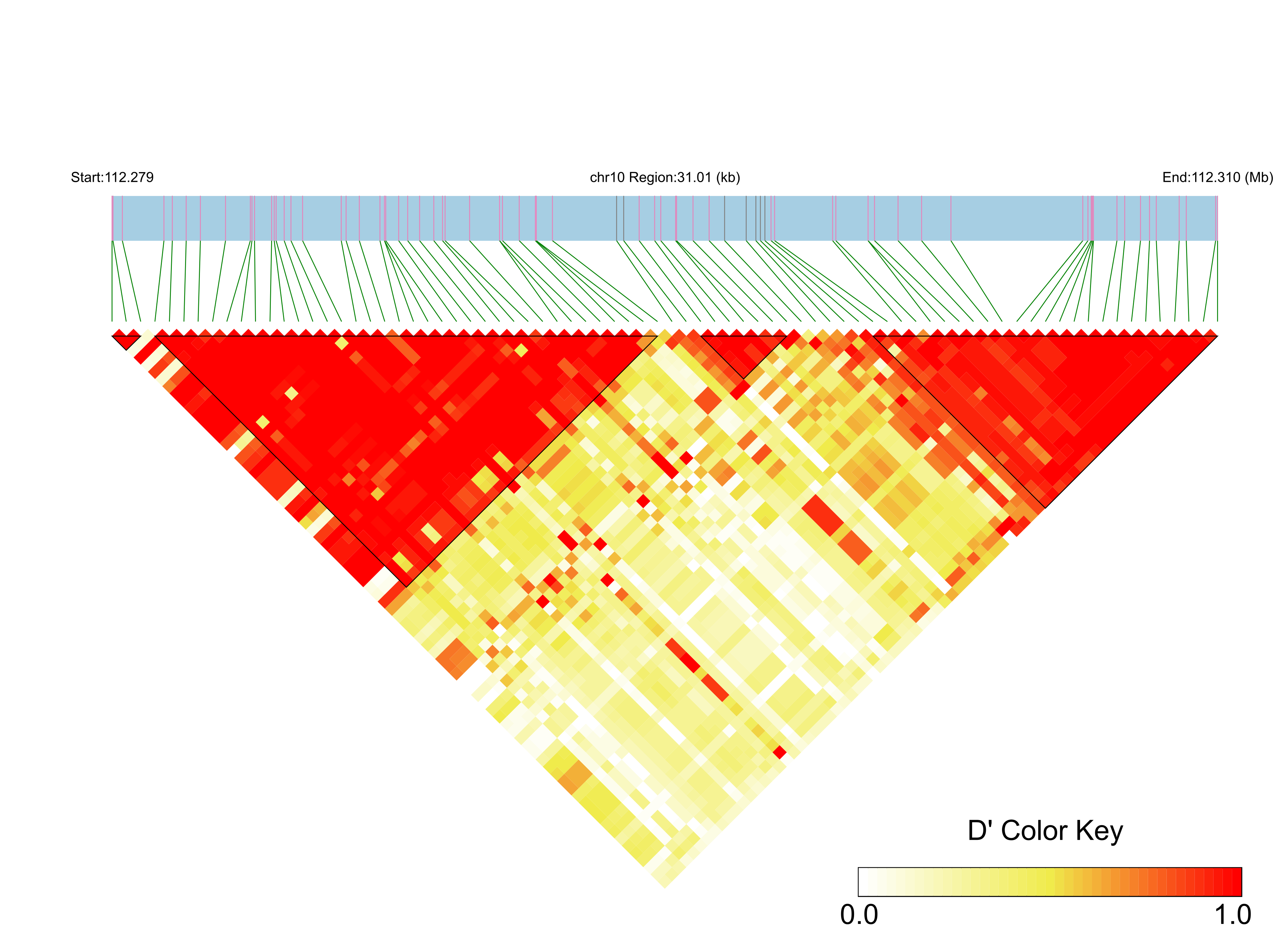 LD