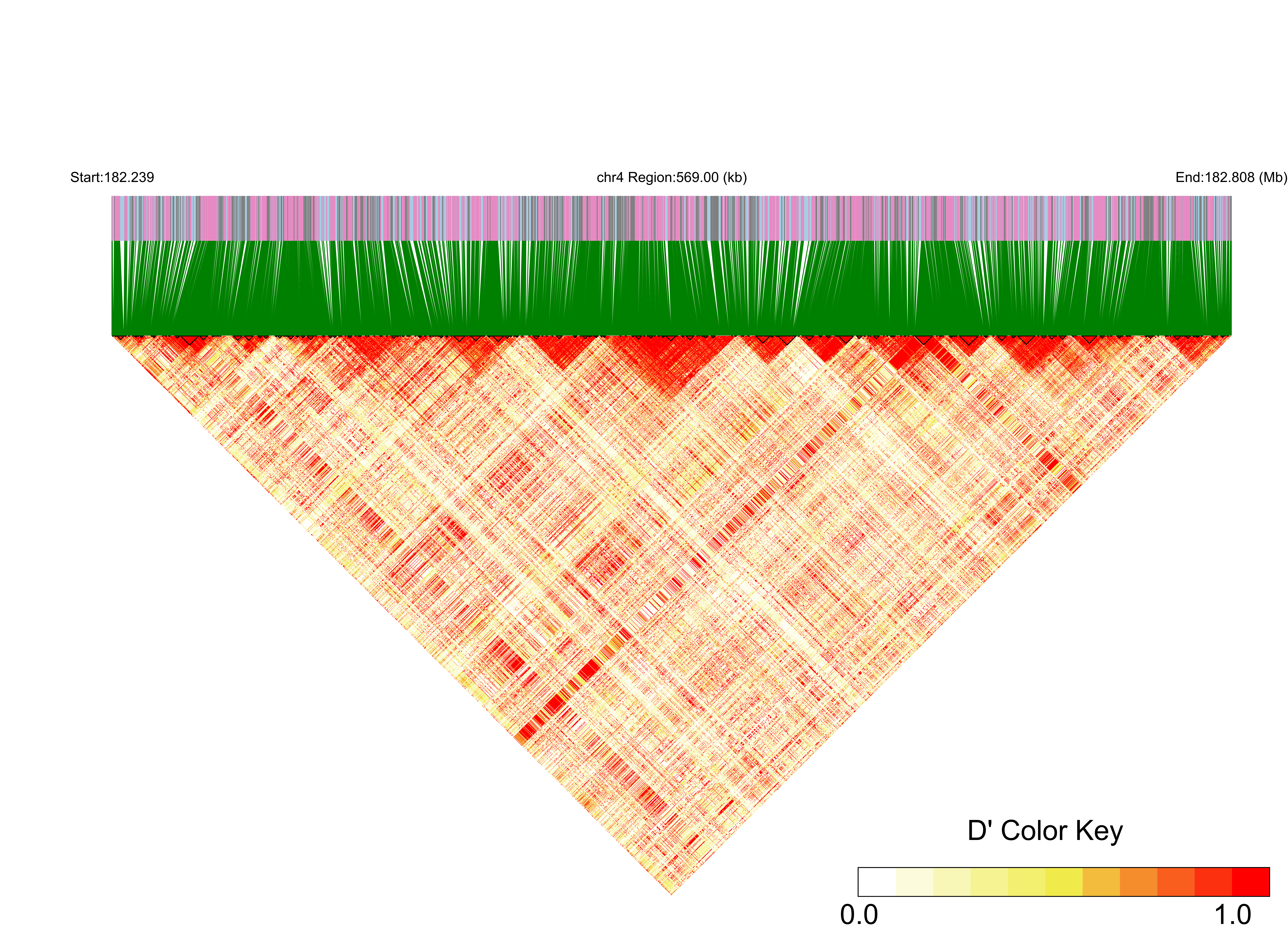 LD