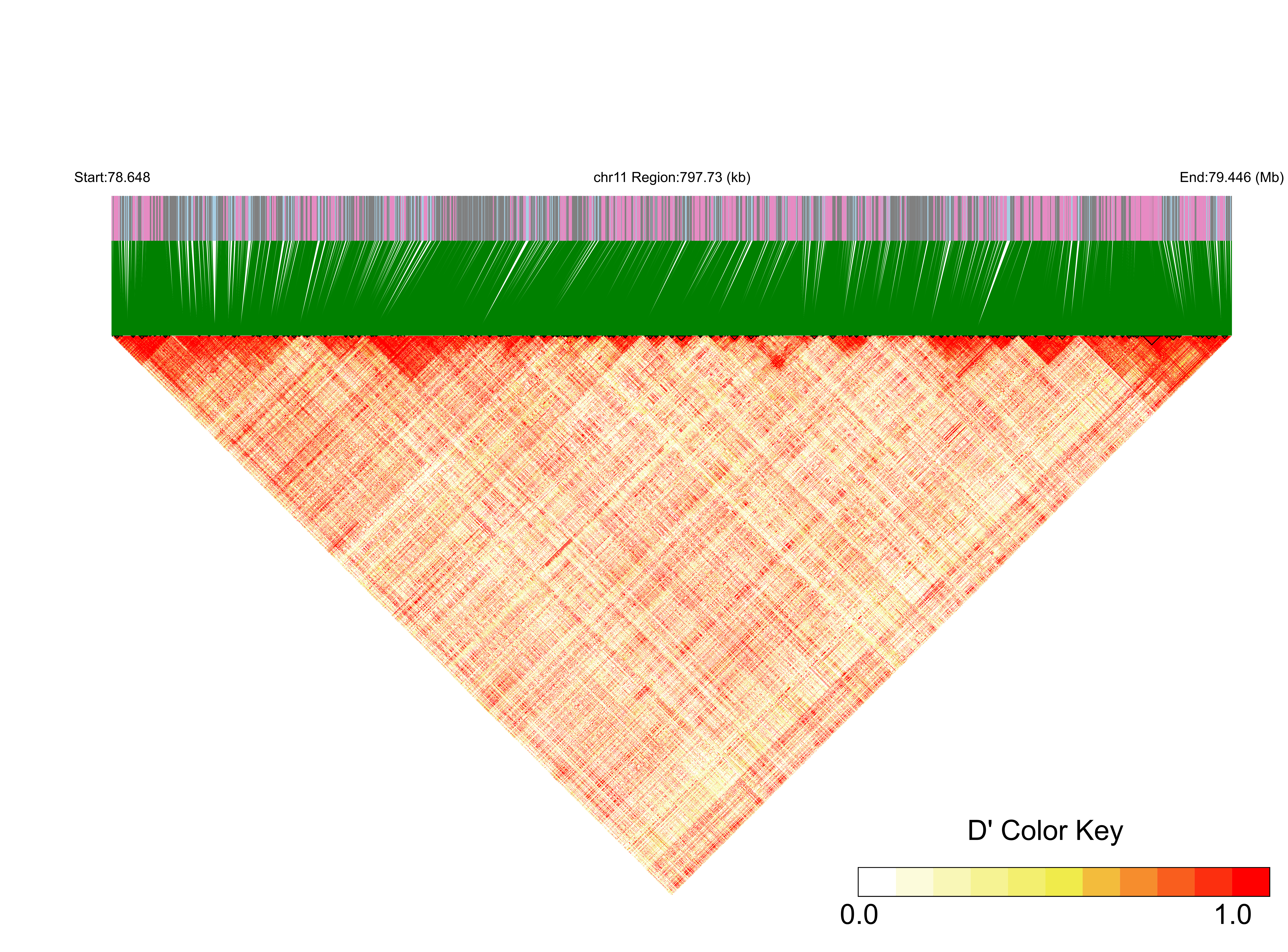LD