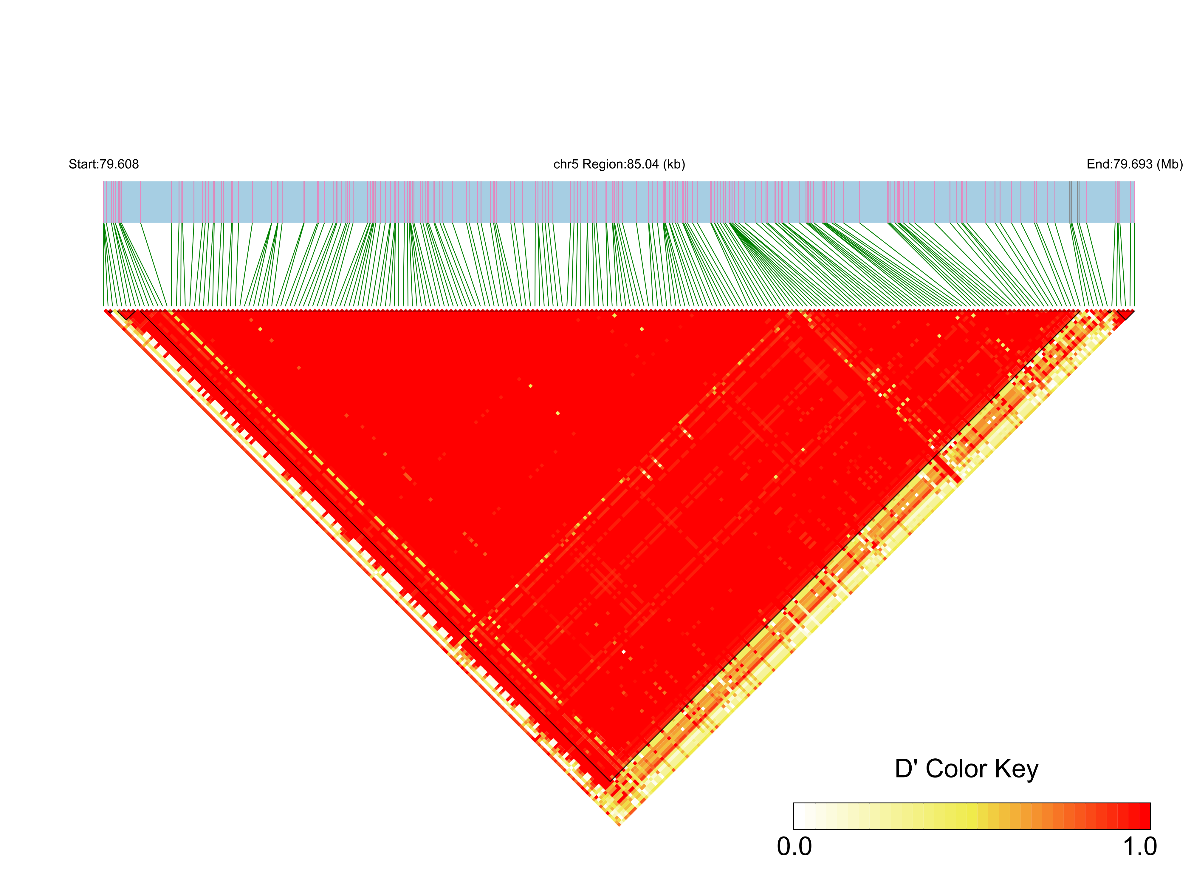 LD