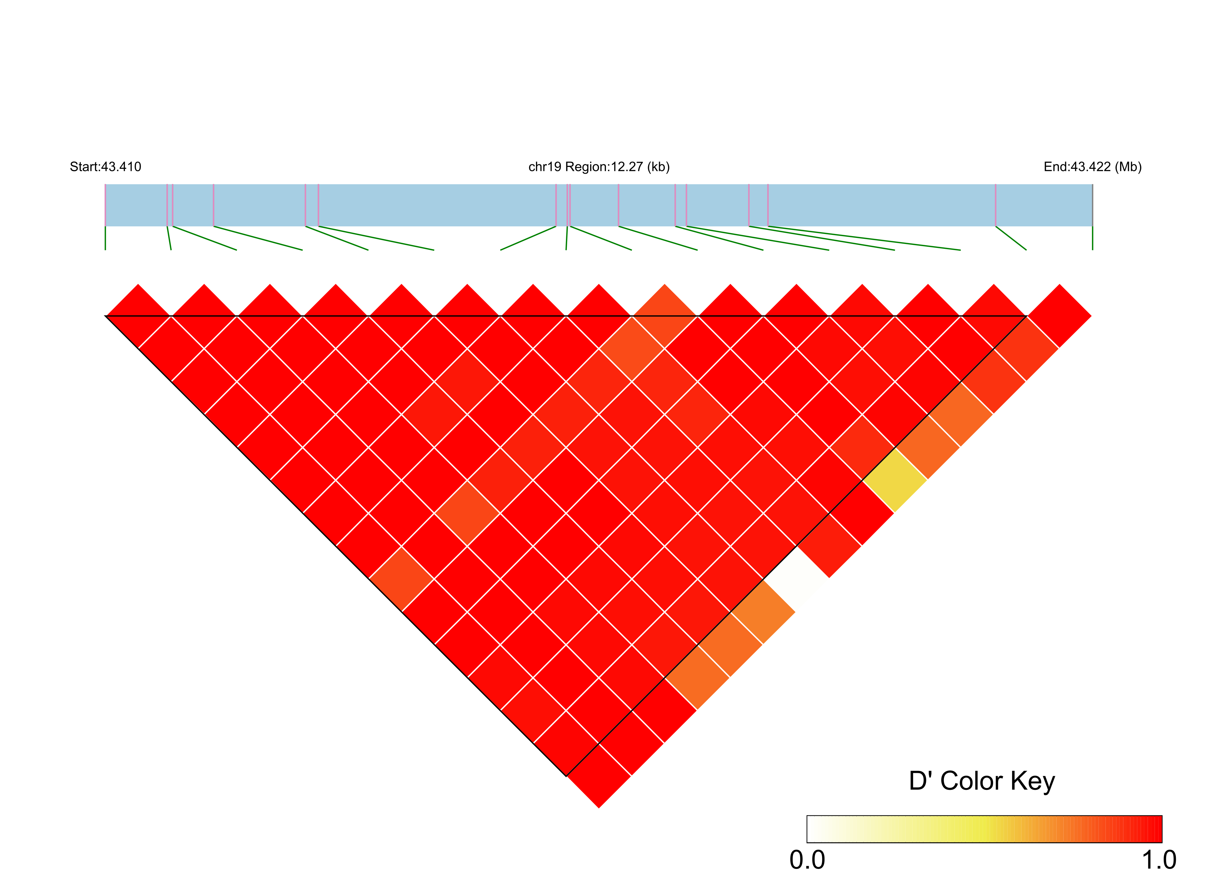 LD