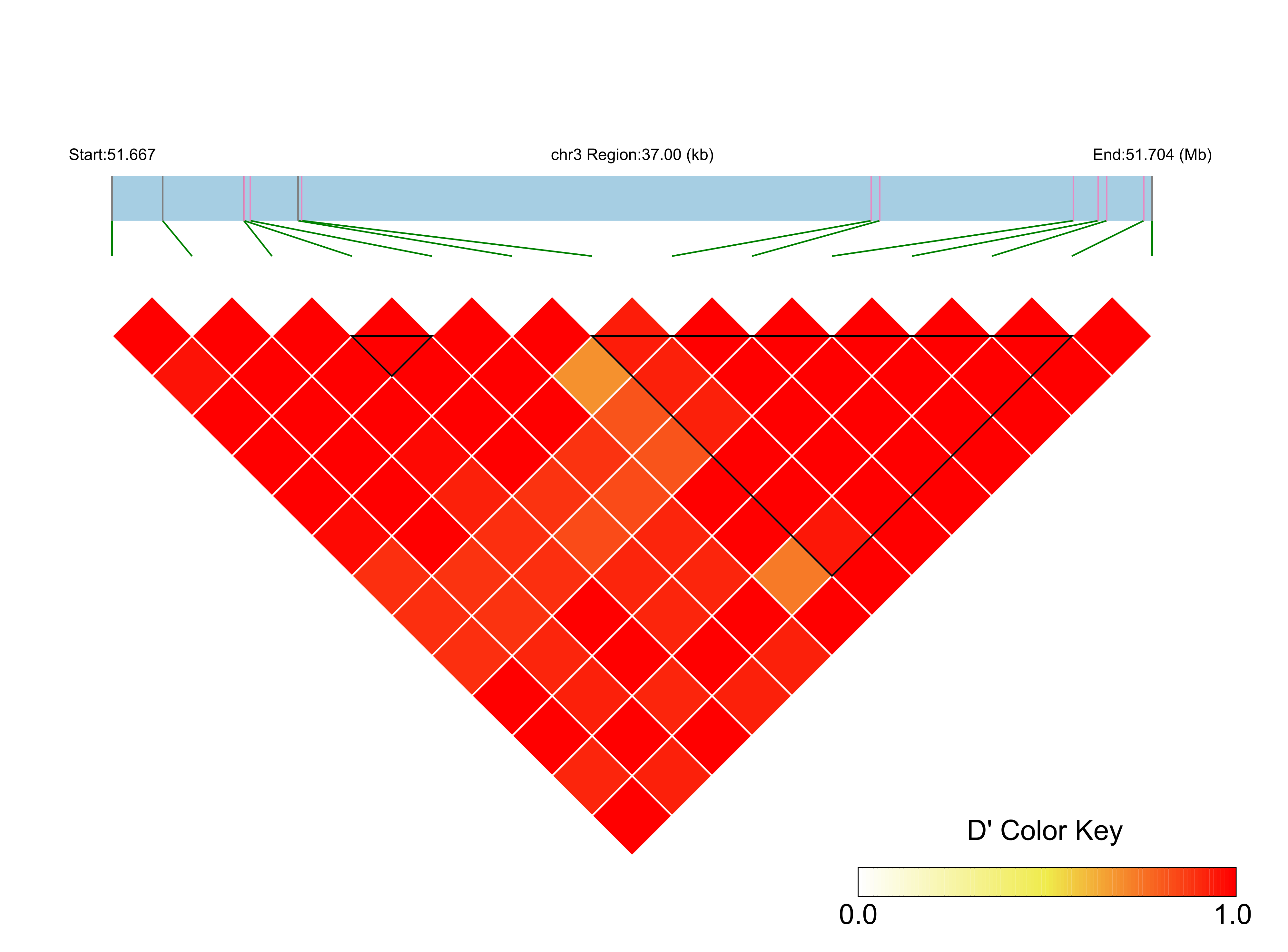 LD