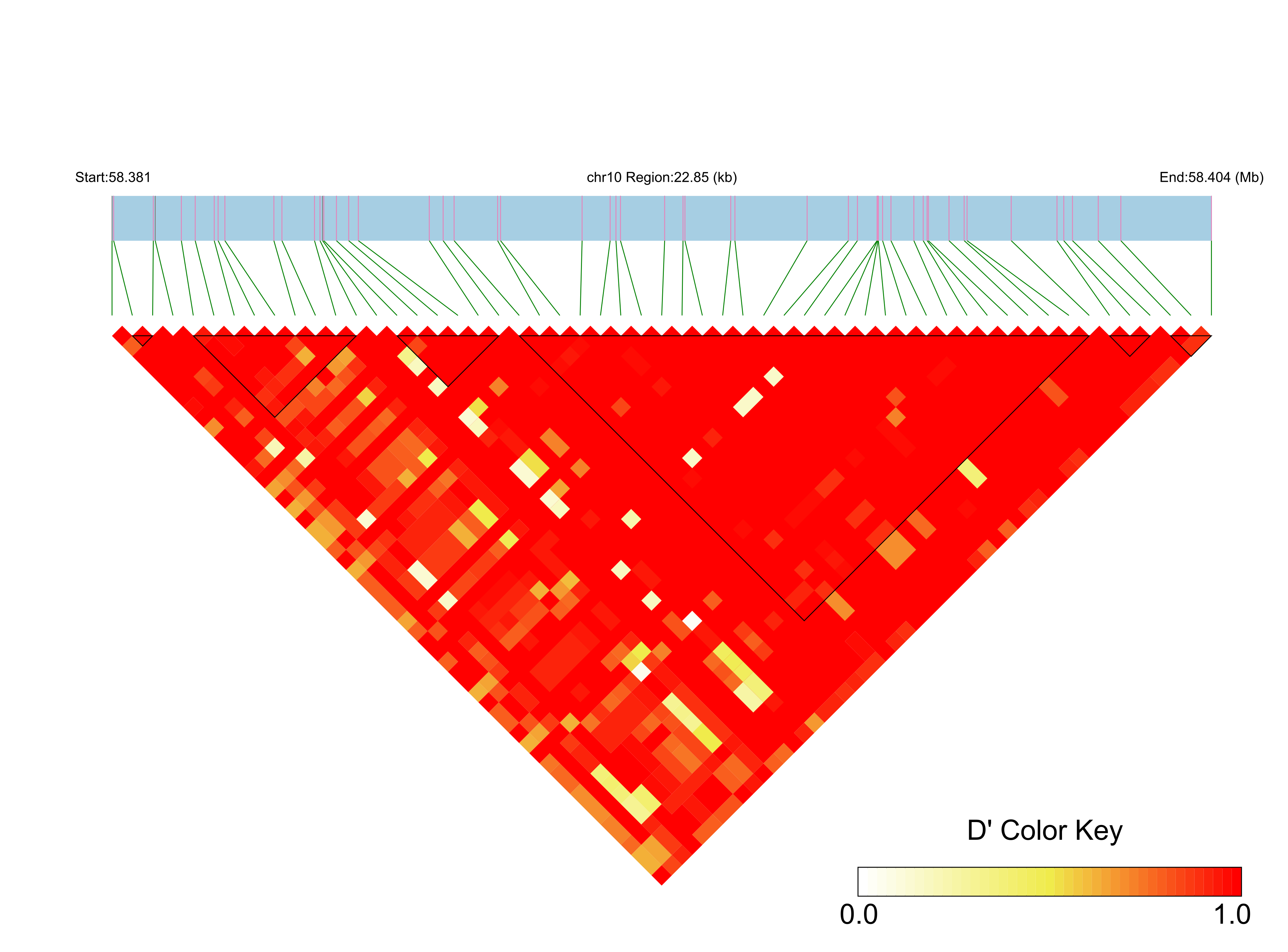 LD
