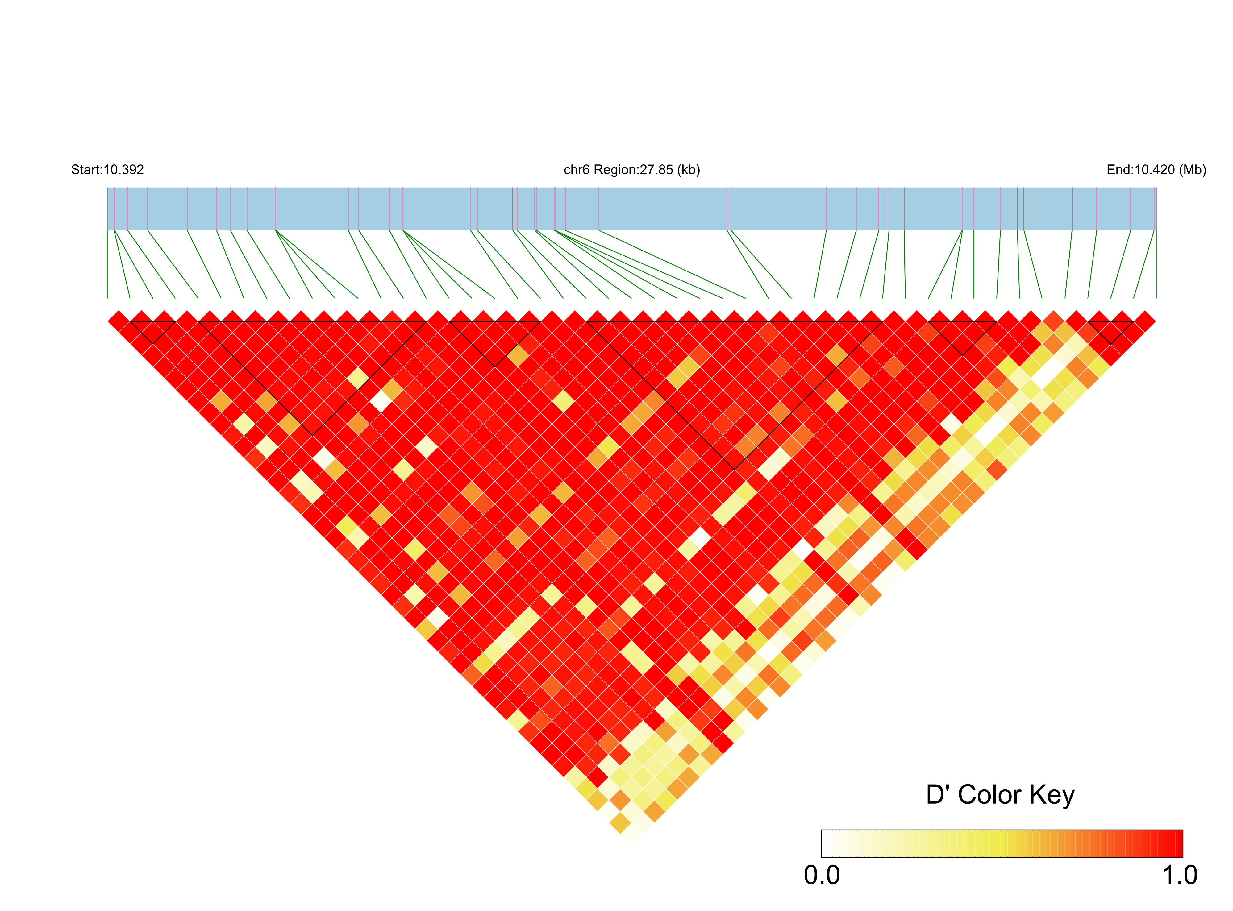 LD