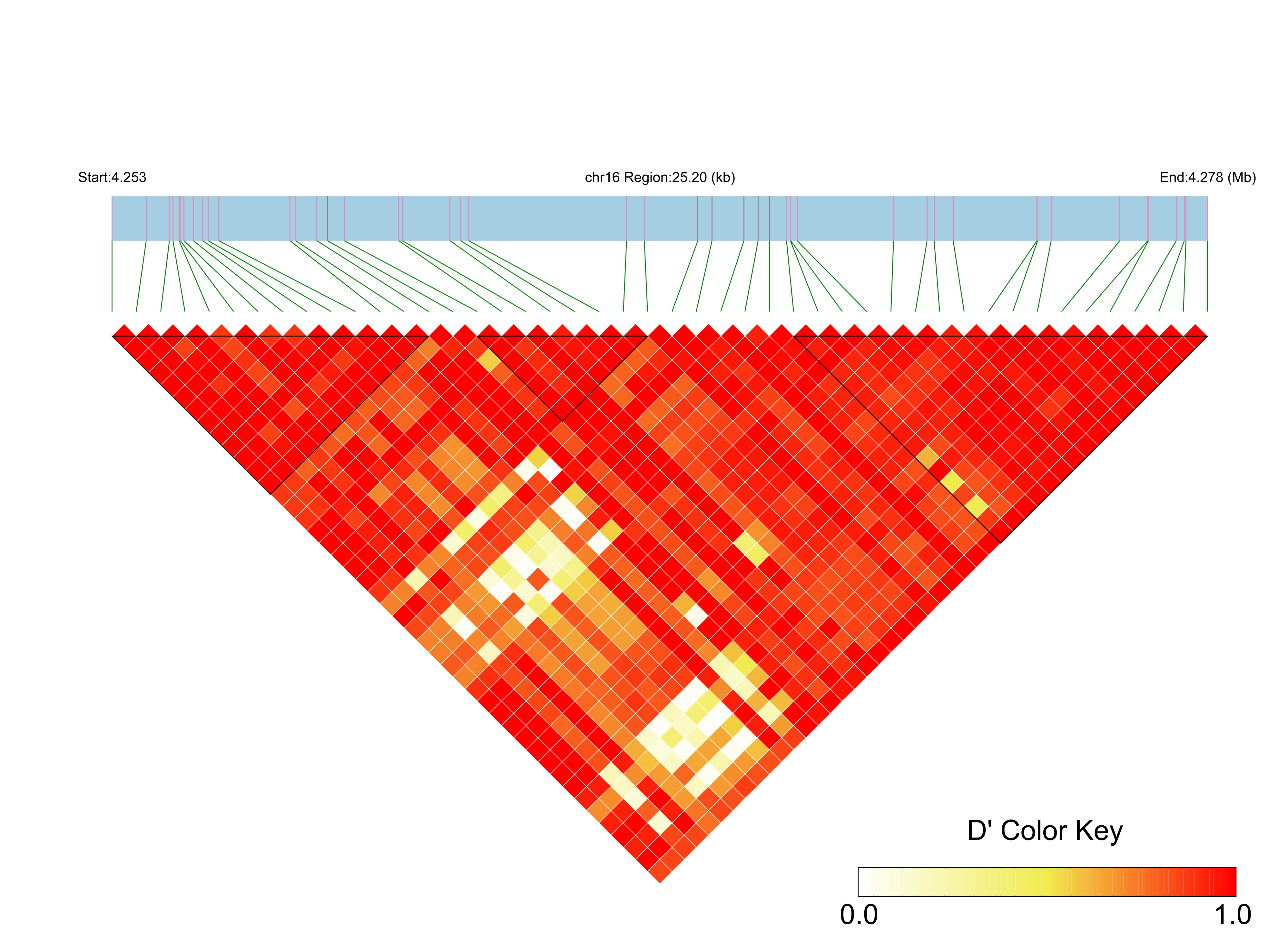 LD