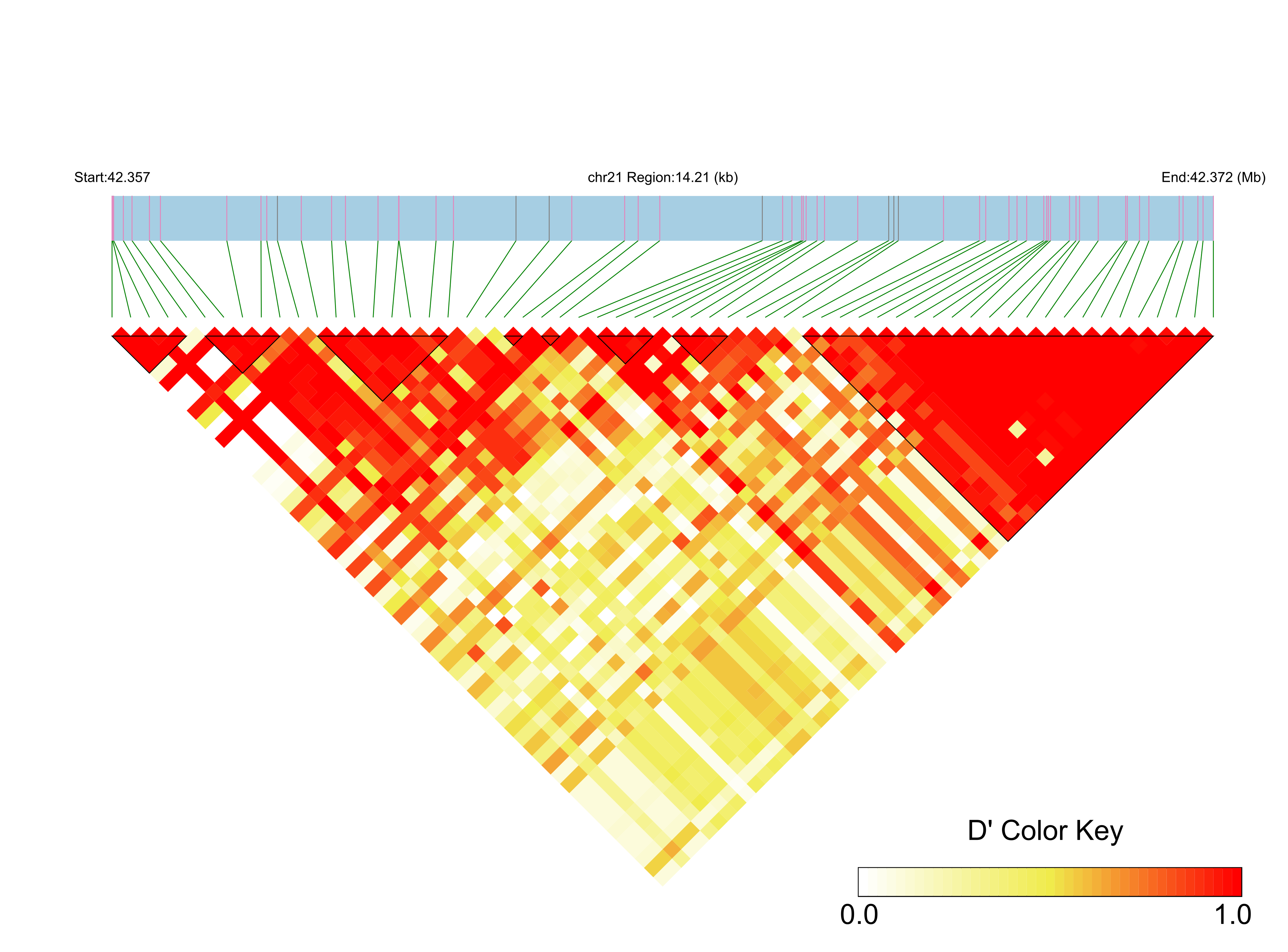 LD