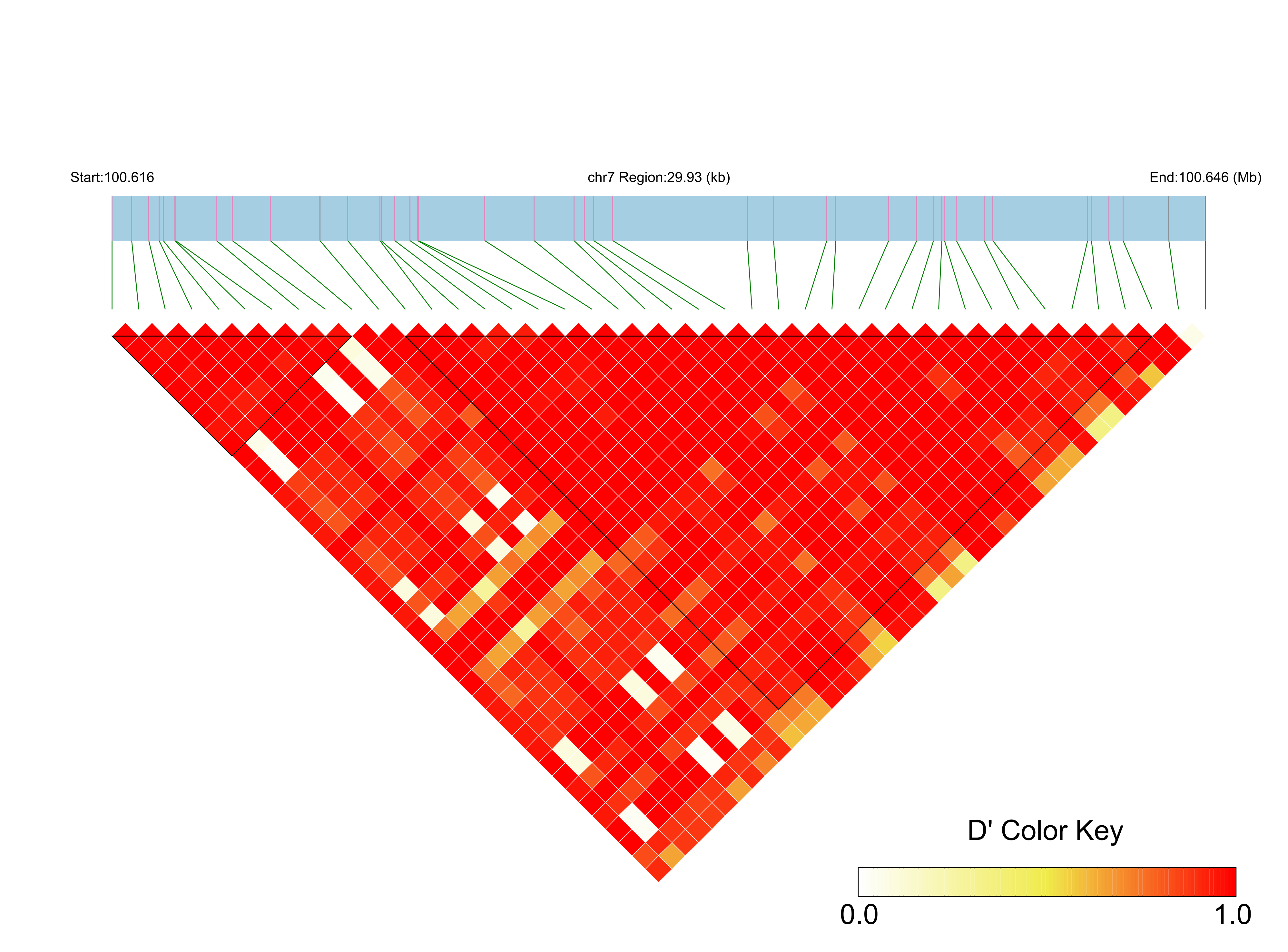LD
