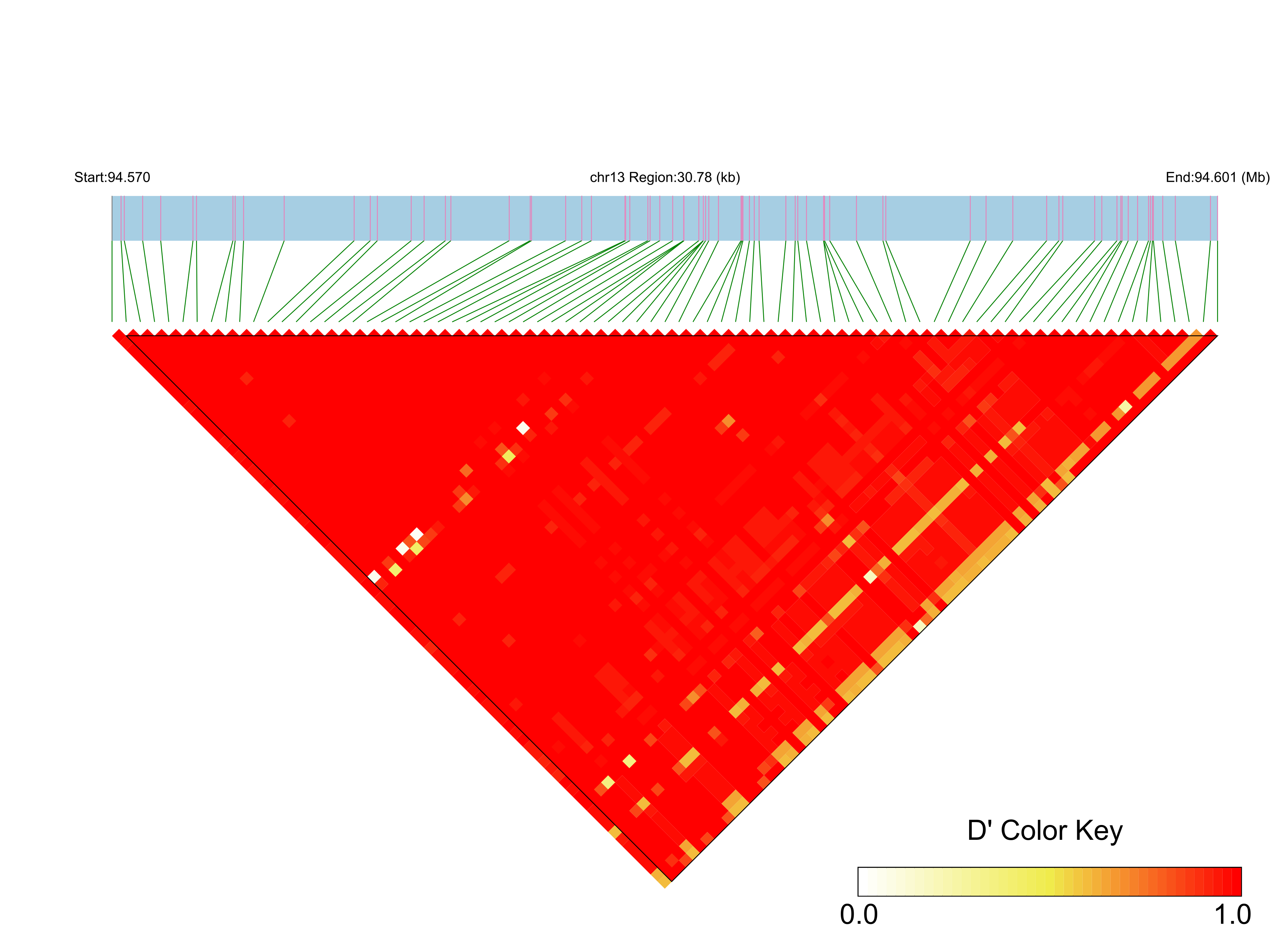 LD